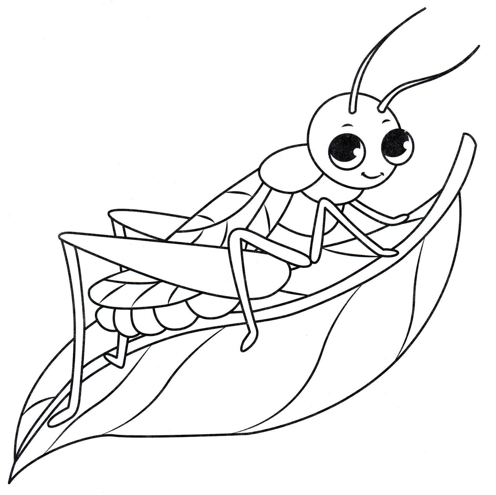 Раскраска Кузнечик на листочке