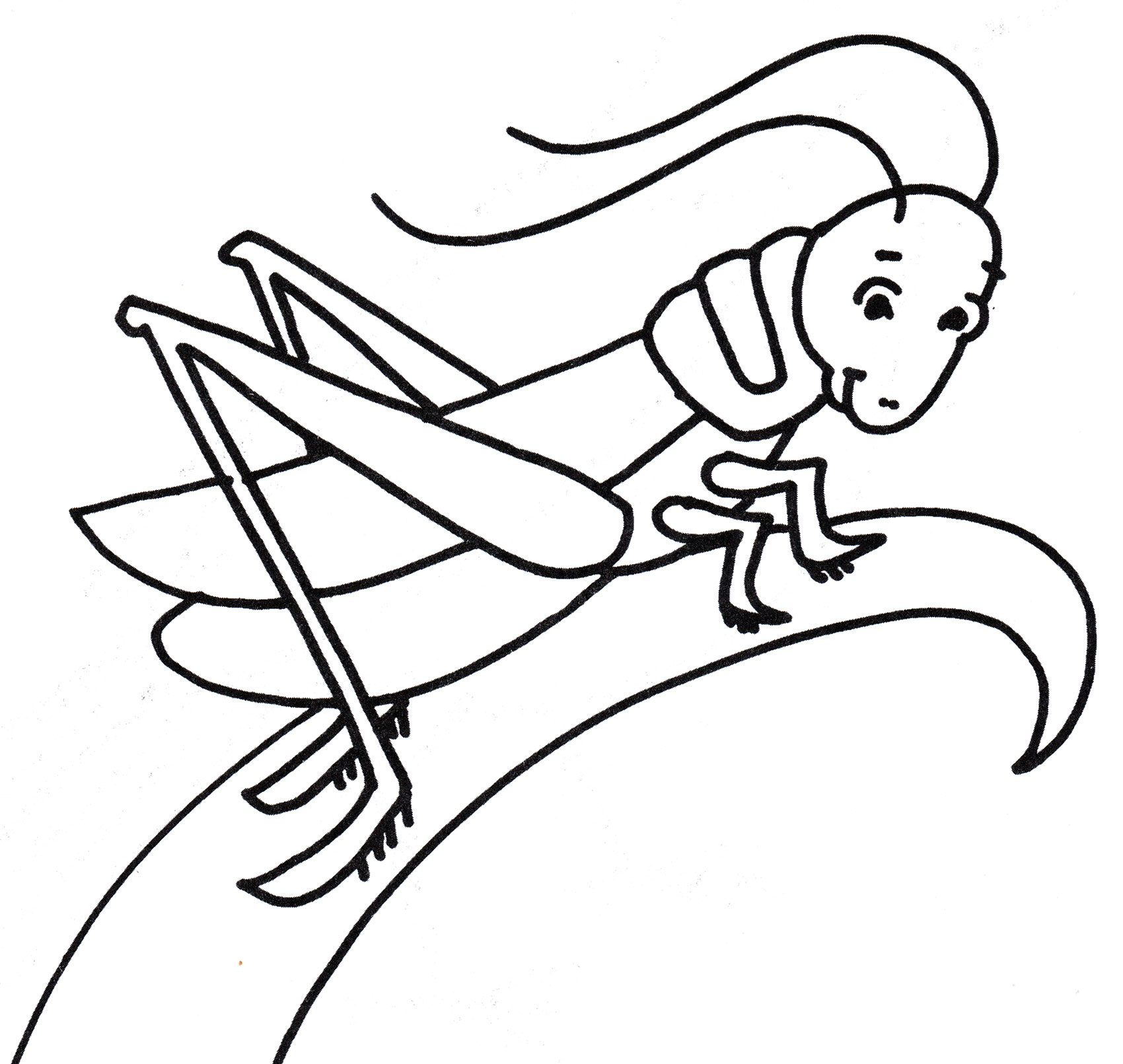 Раскраска Кузнечик на травинке