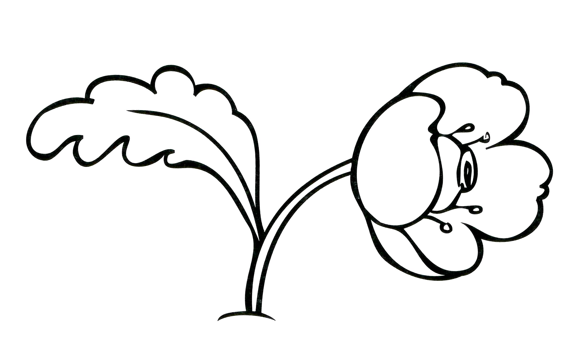 Раскраска Мак растёт