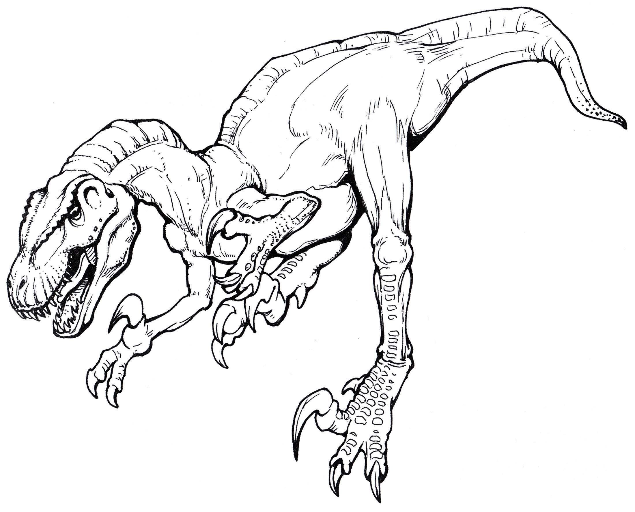 Раскраска Мегараптор