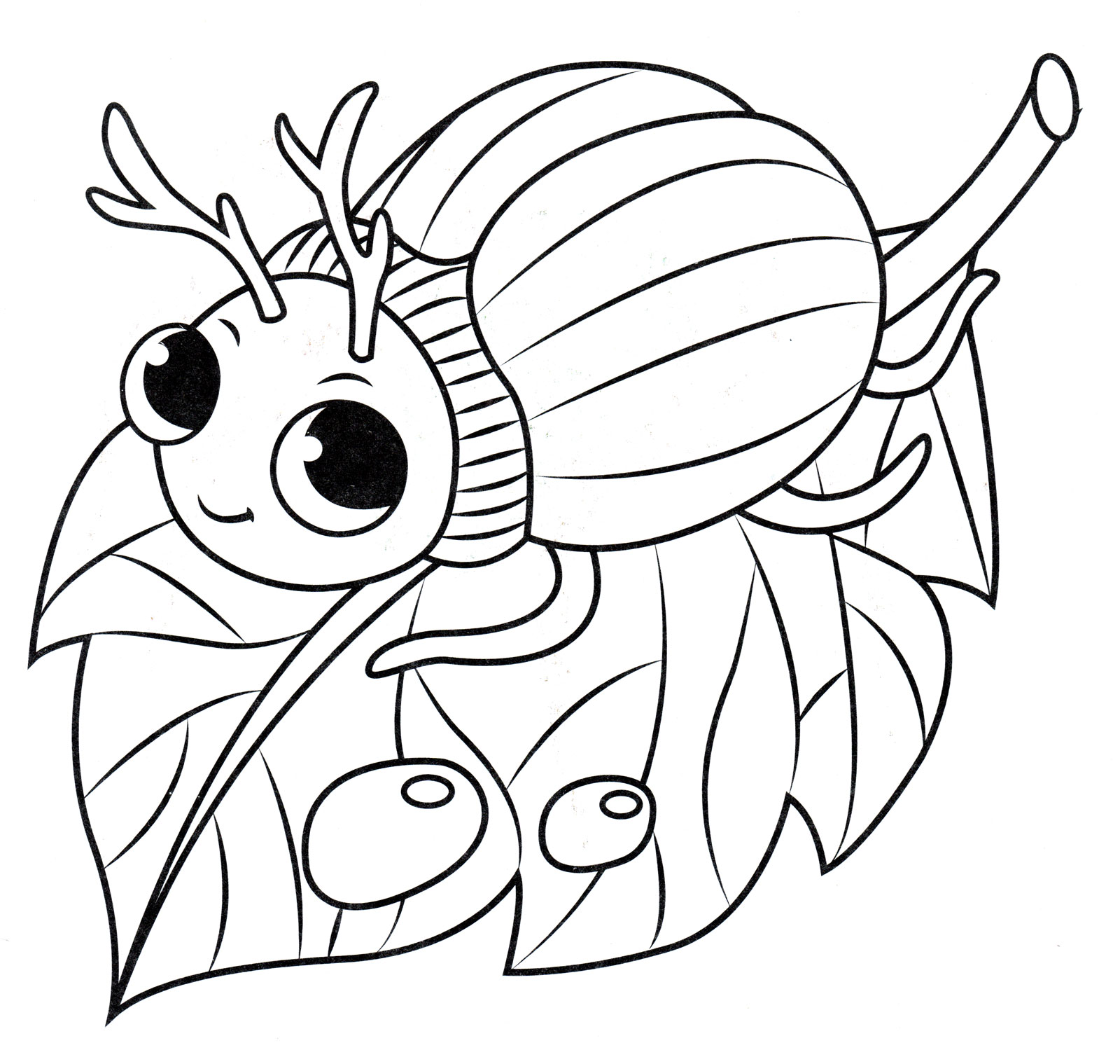 Раскраска Милый жучок