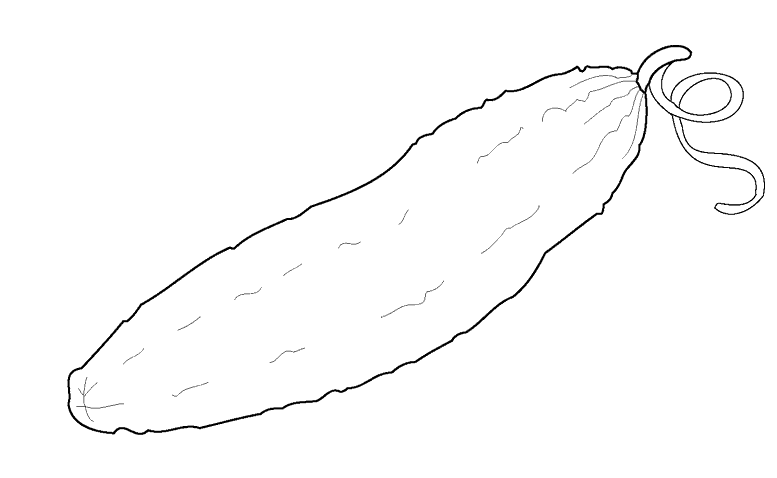Раскраска огурец
