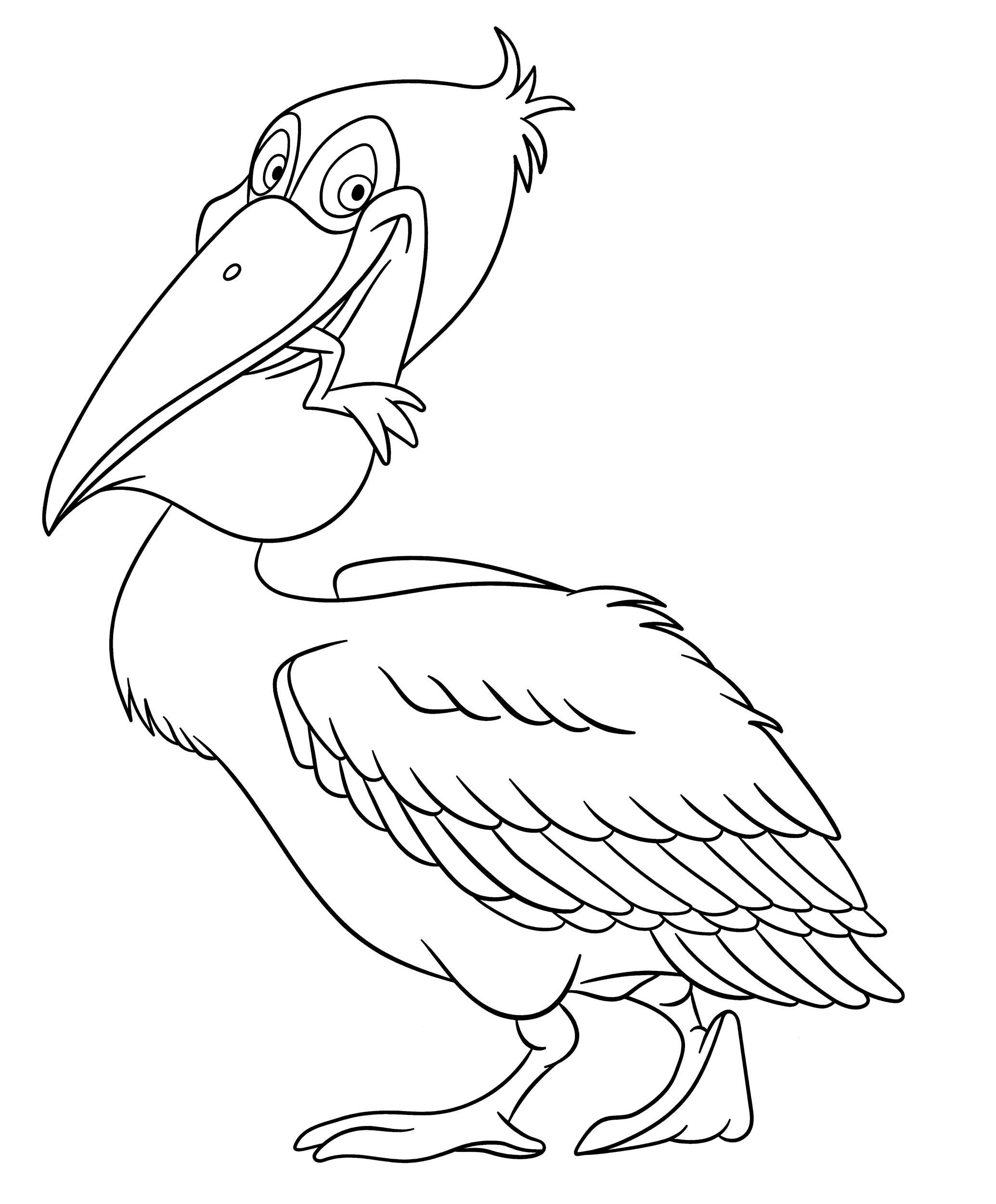 Раскраска Пеликан с жабой во рту