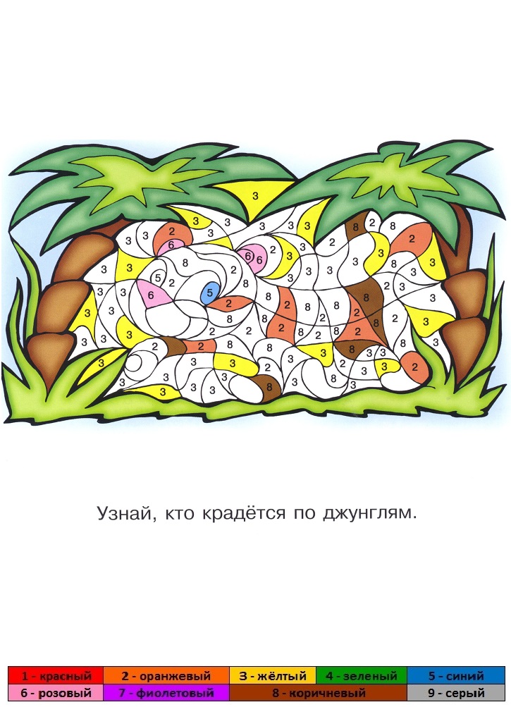Раскраска по цифрам тигр