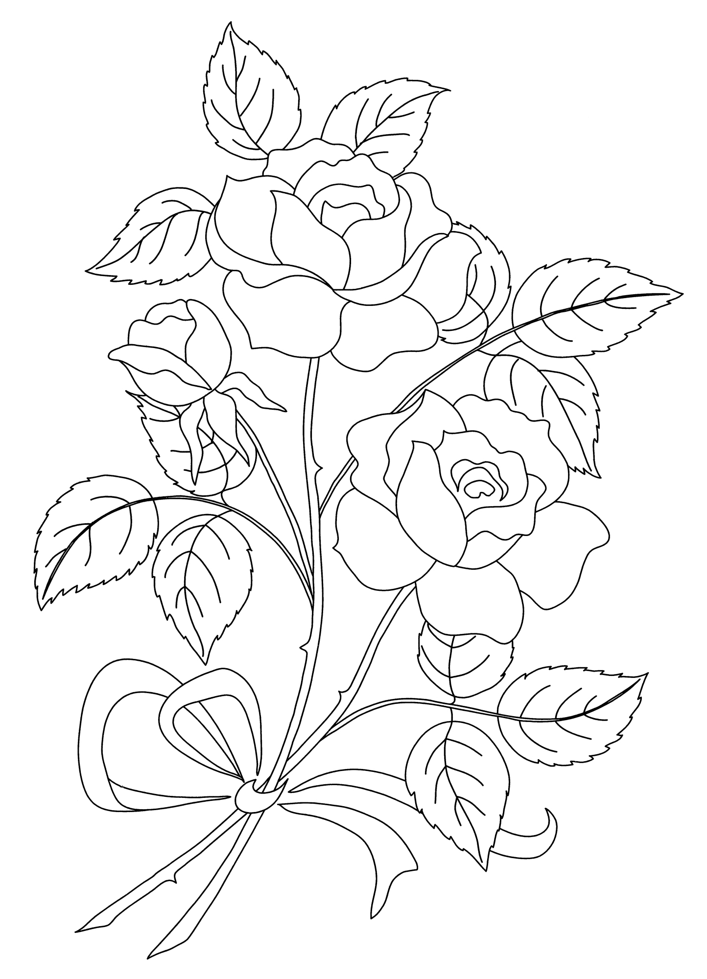 Раскраска Прекрасная алая роза