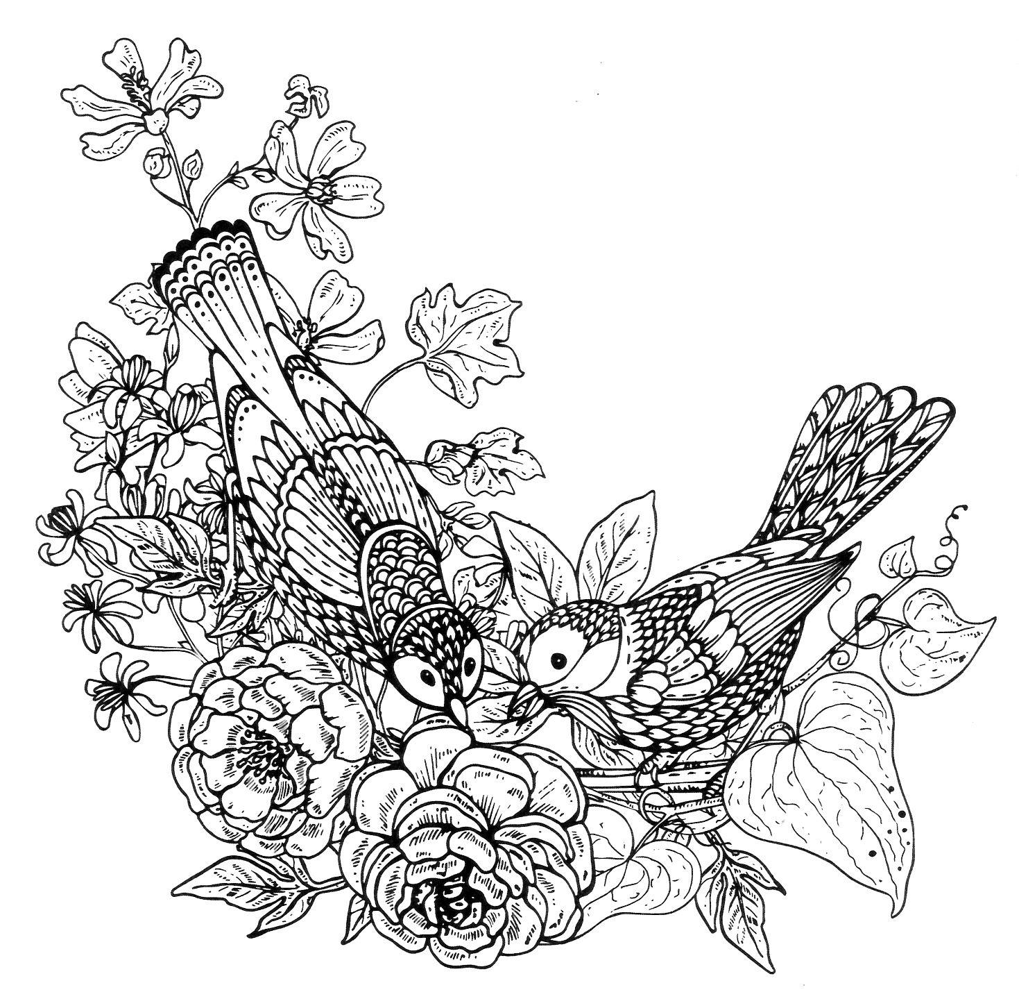 Раскраска Птички на цветущей веточке