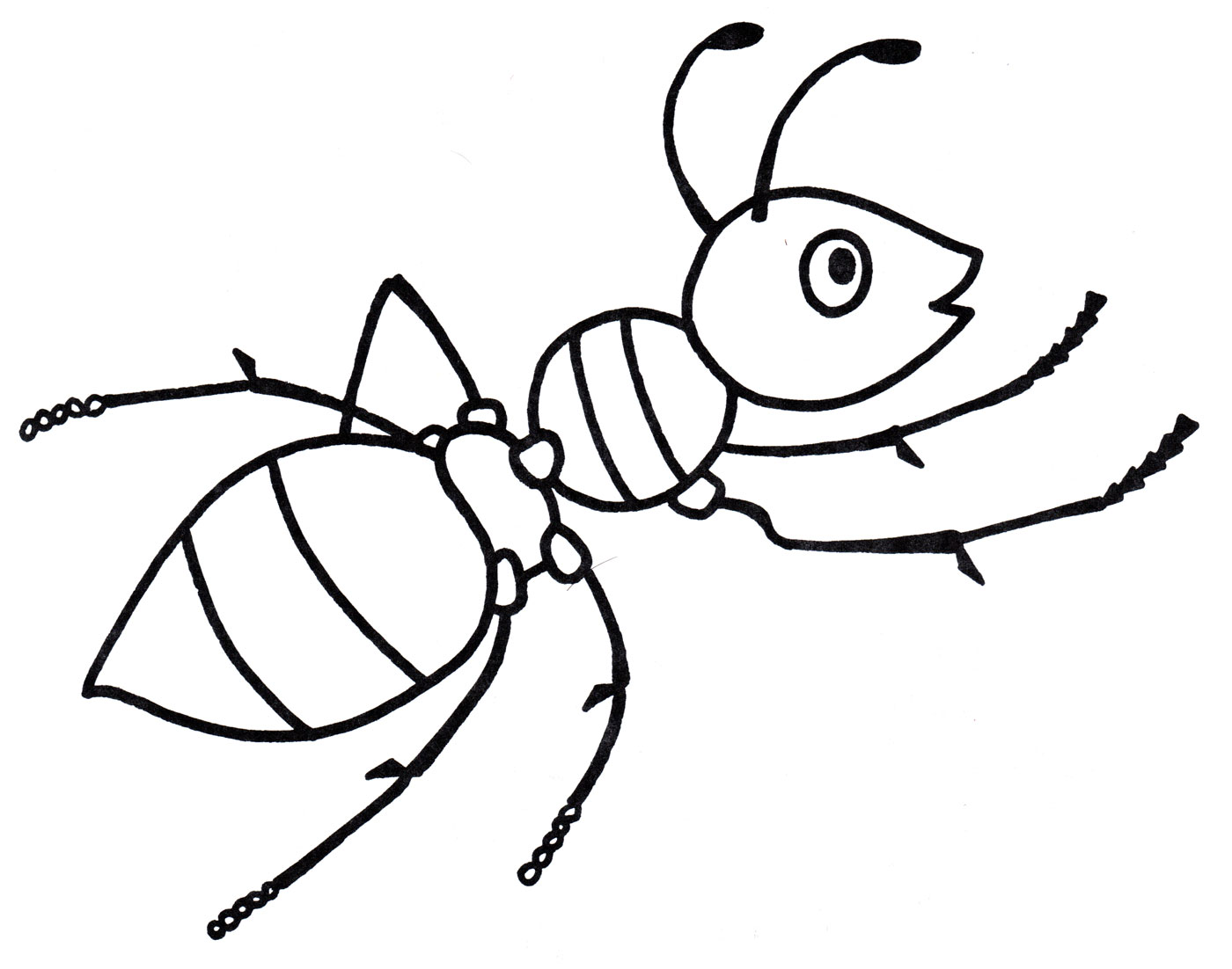 Раскраска Работяга муравей