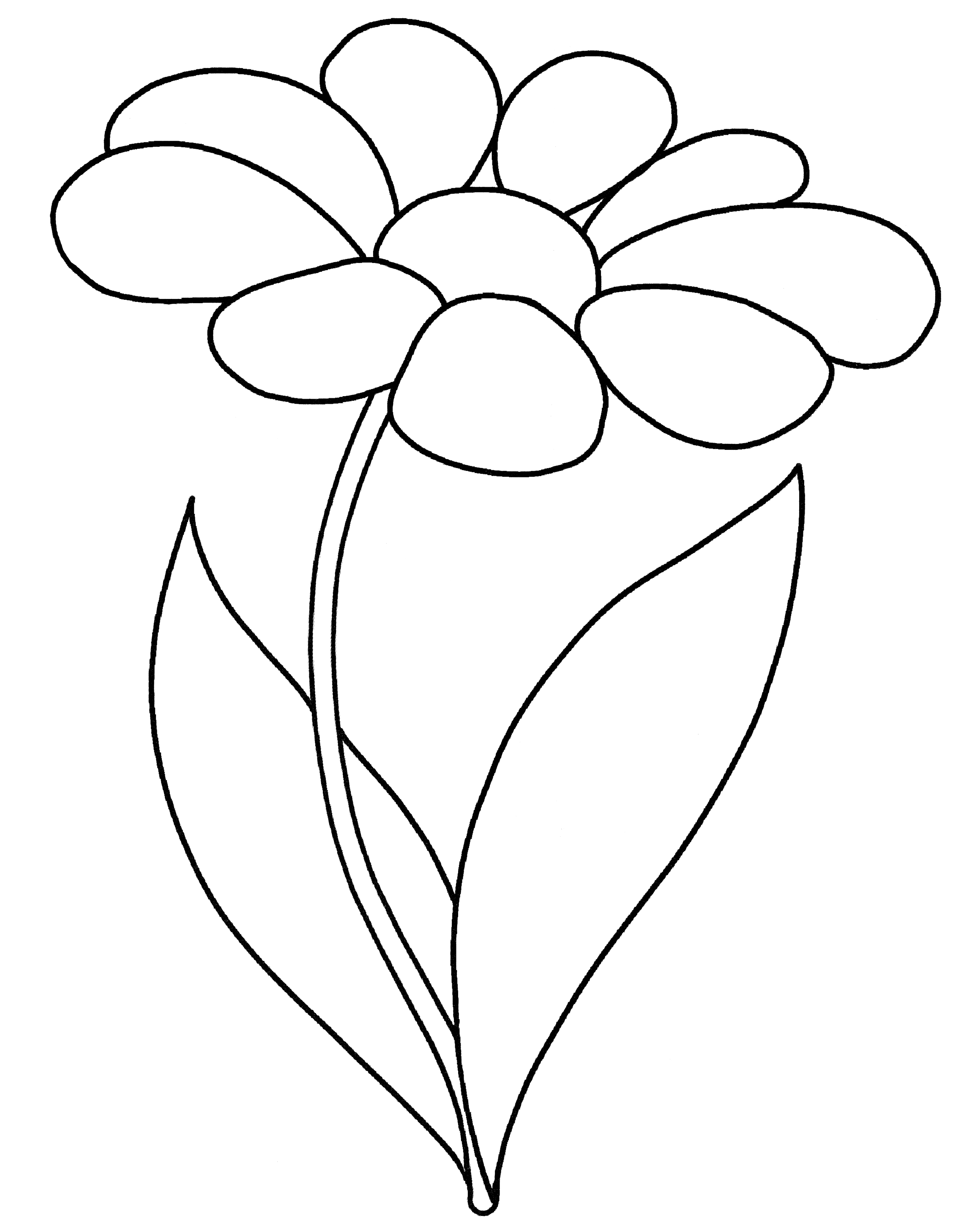 Раскраска Расцветающая ромашка