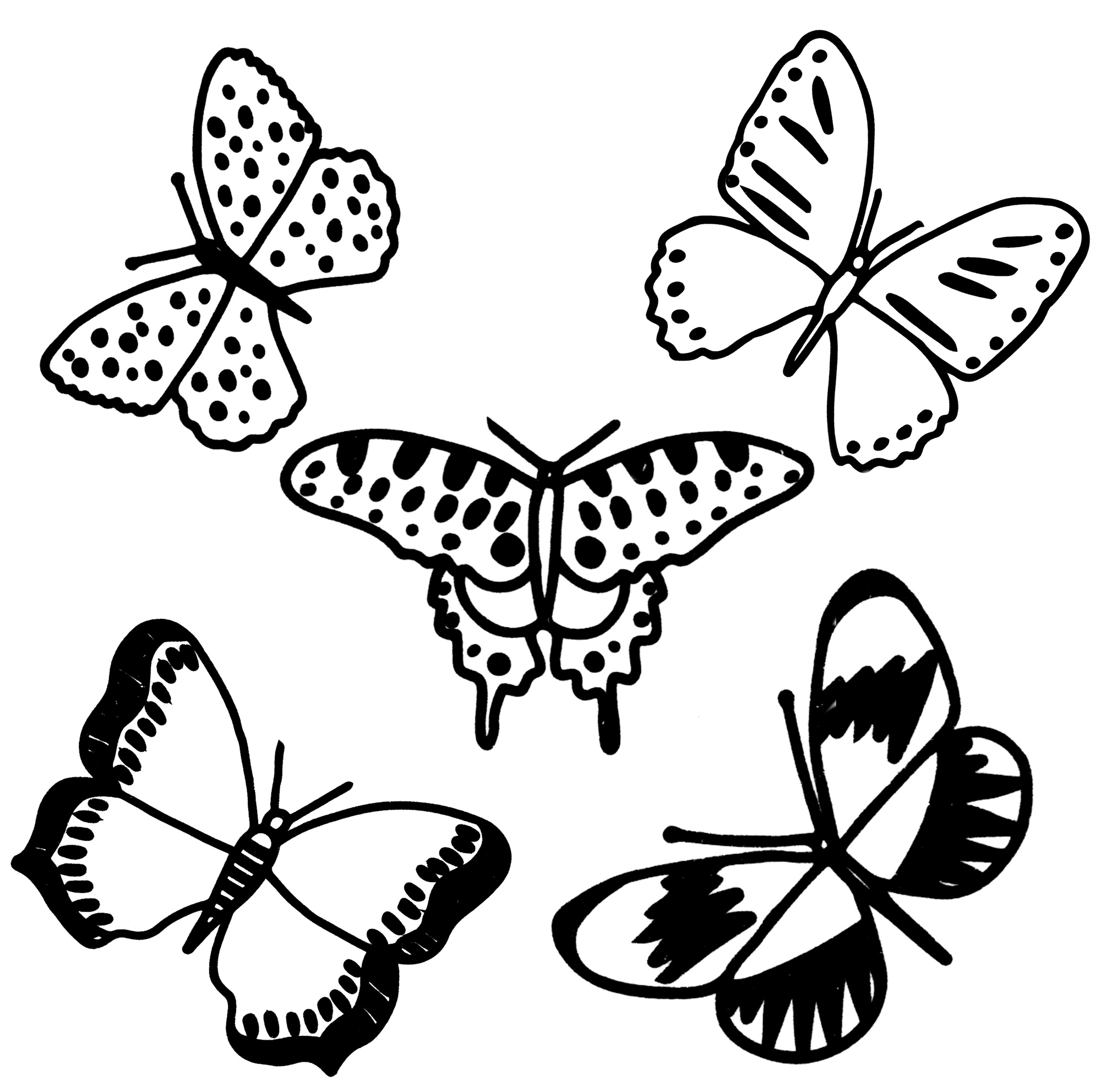 Раскраска Разнообразие бабочек