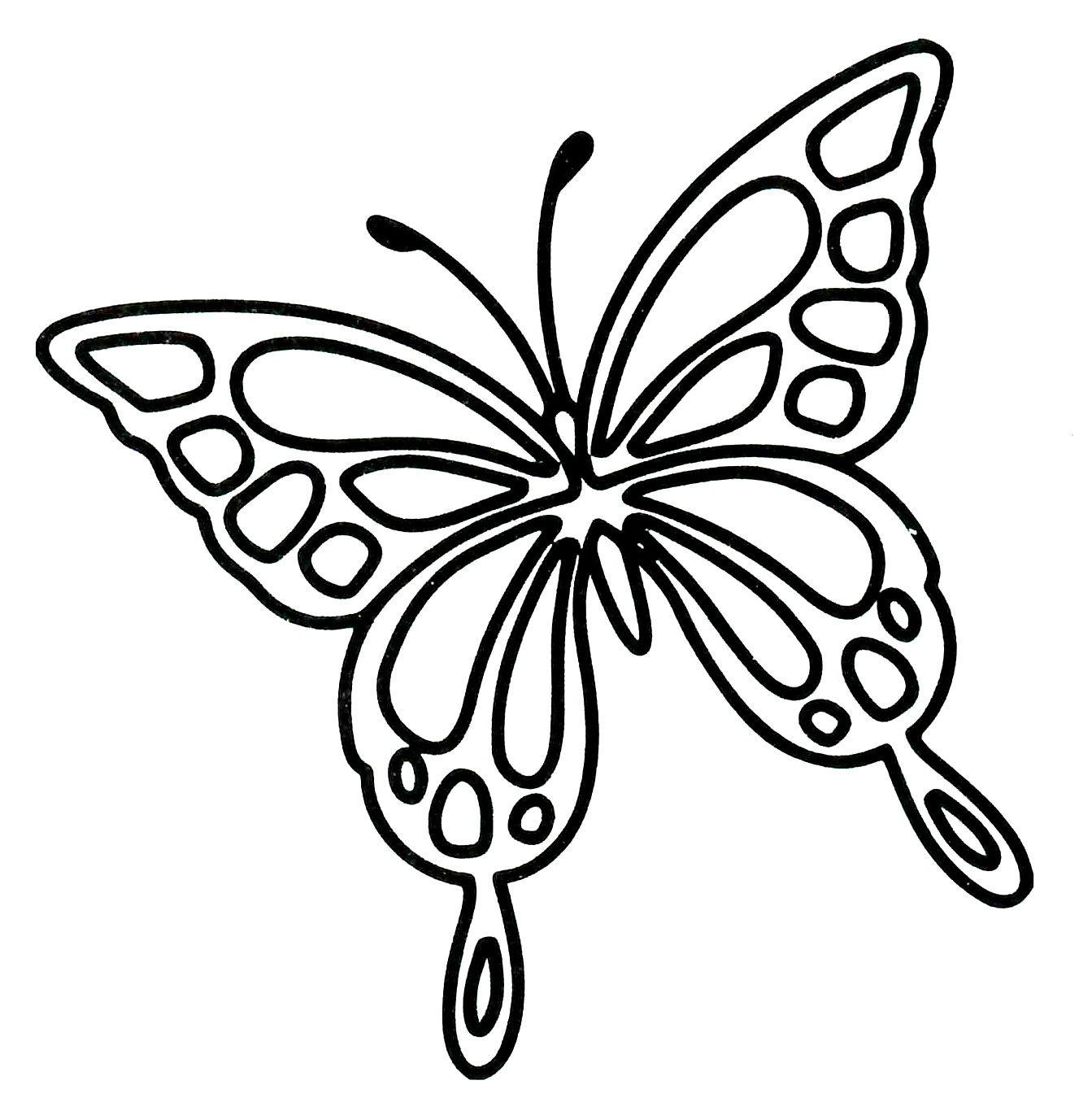 Раскраска Разноцветная бабочка