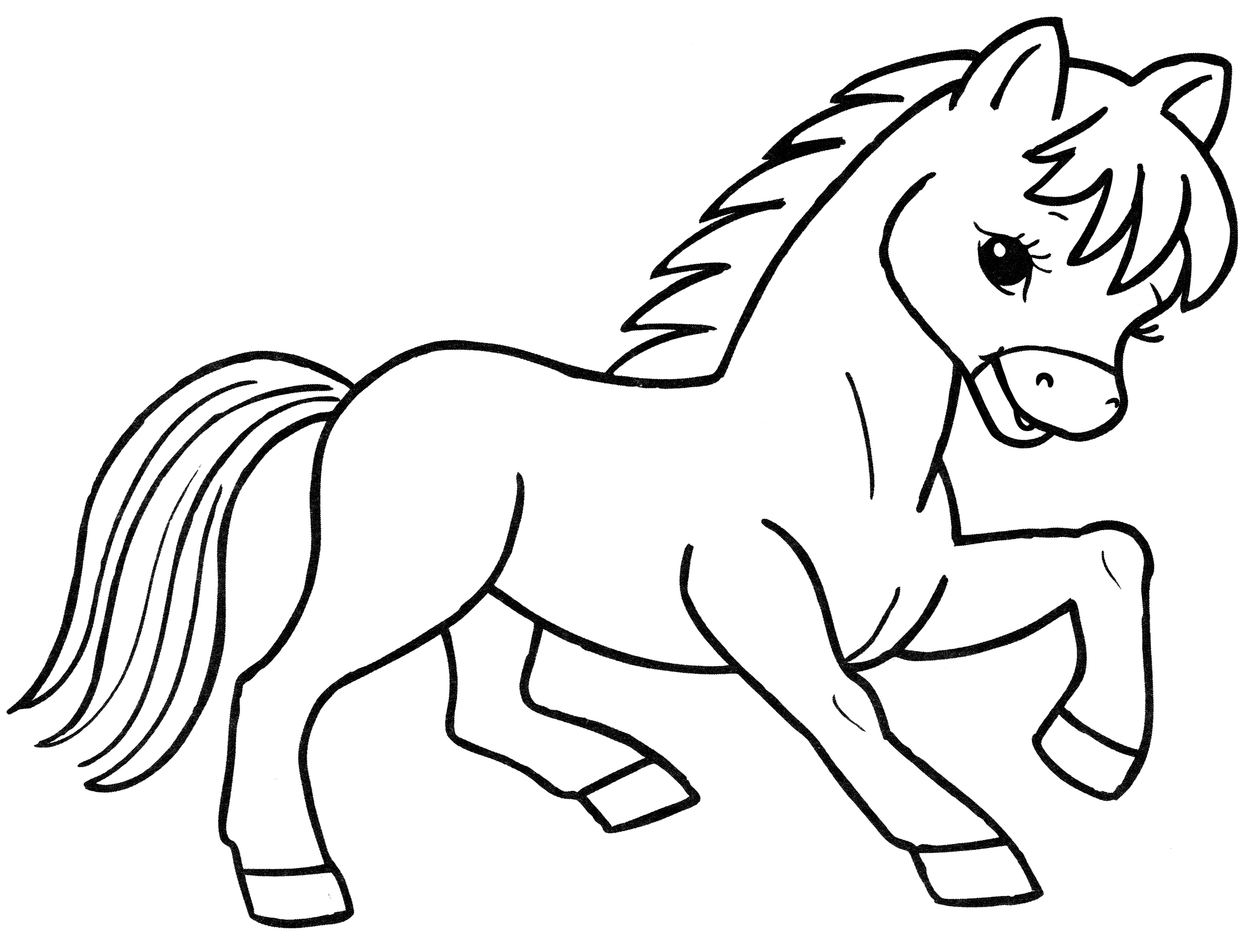 Раскраска Резвый жеребенок