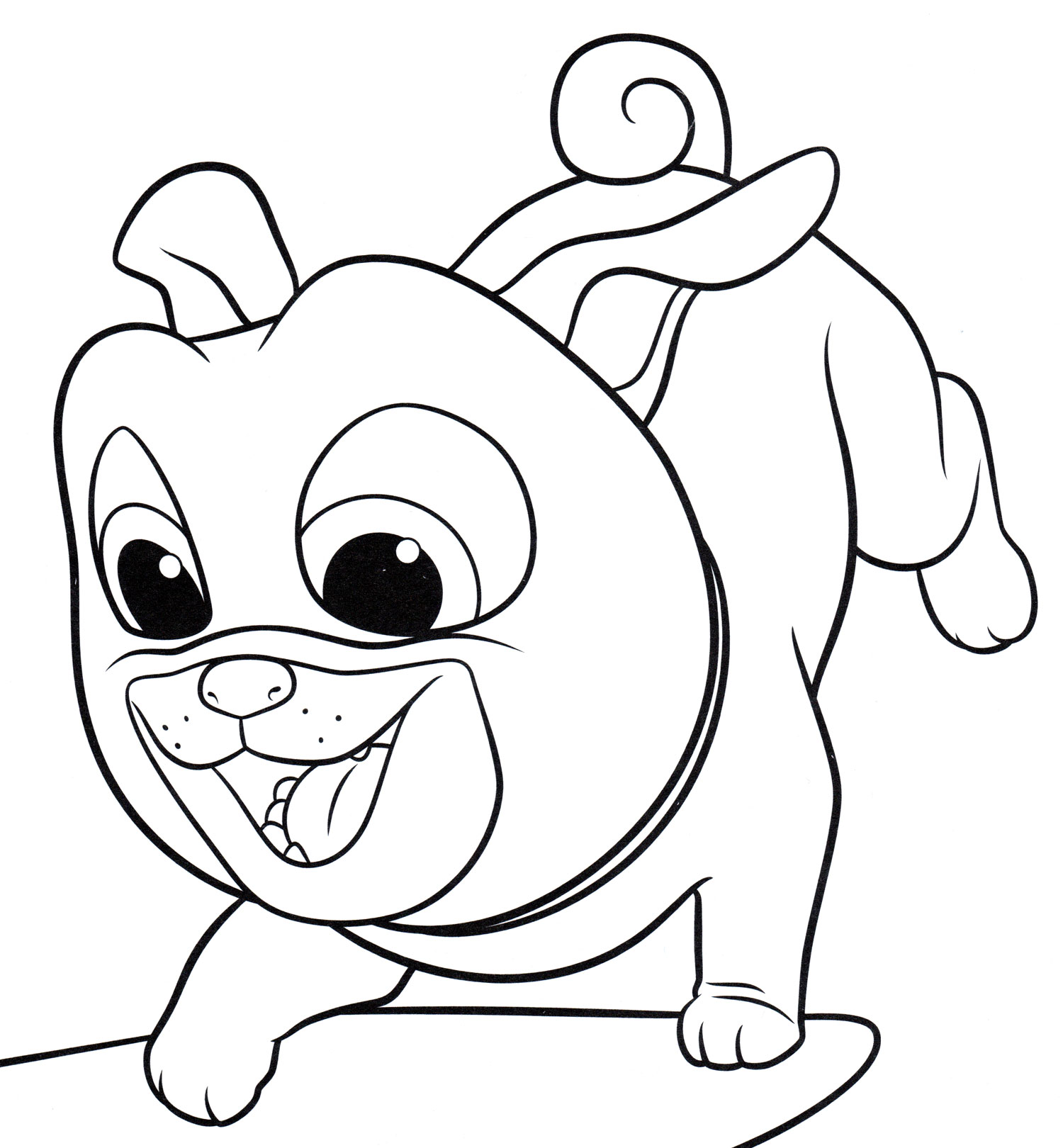 Раскраска Ролли что-то нашел