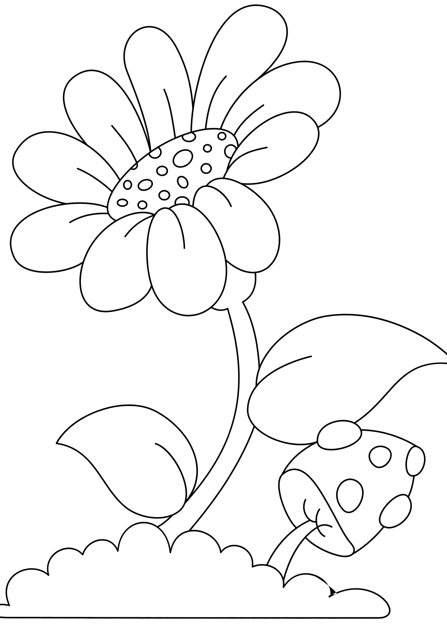 Раскраска Ромашка и мухомор