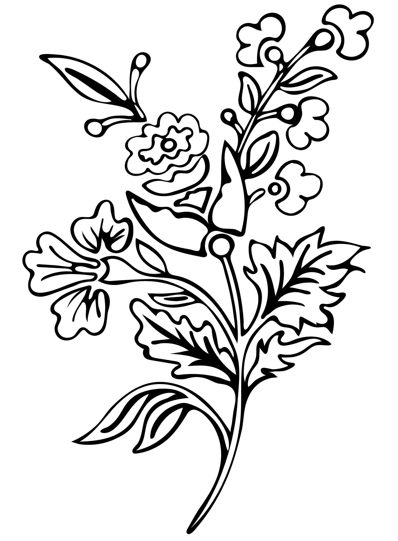 Раскраска Розовый куст