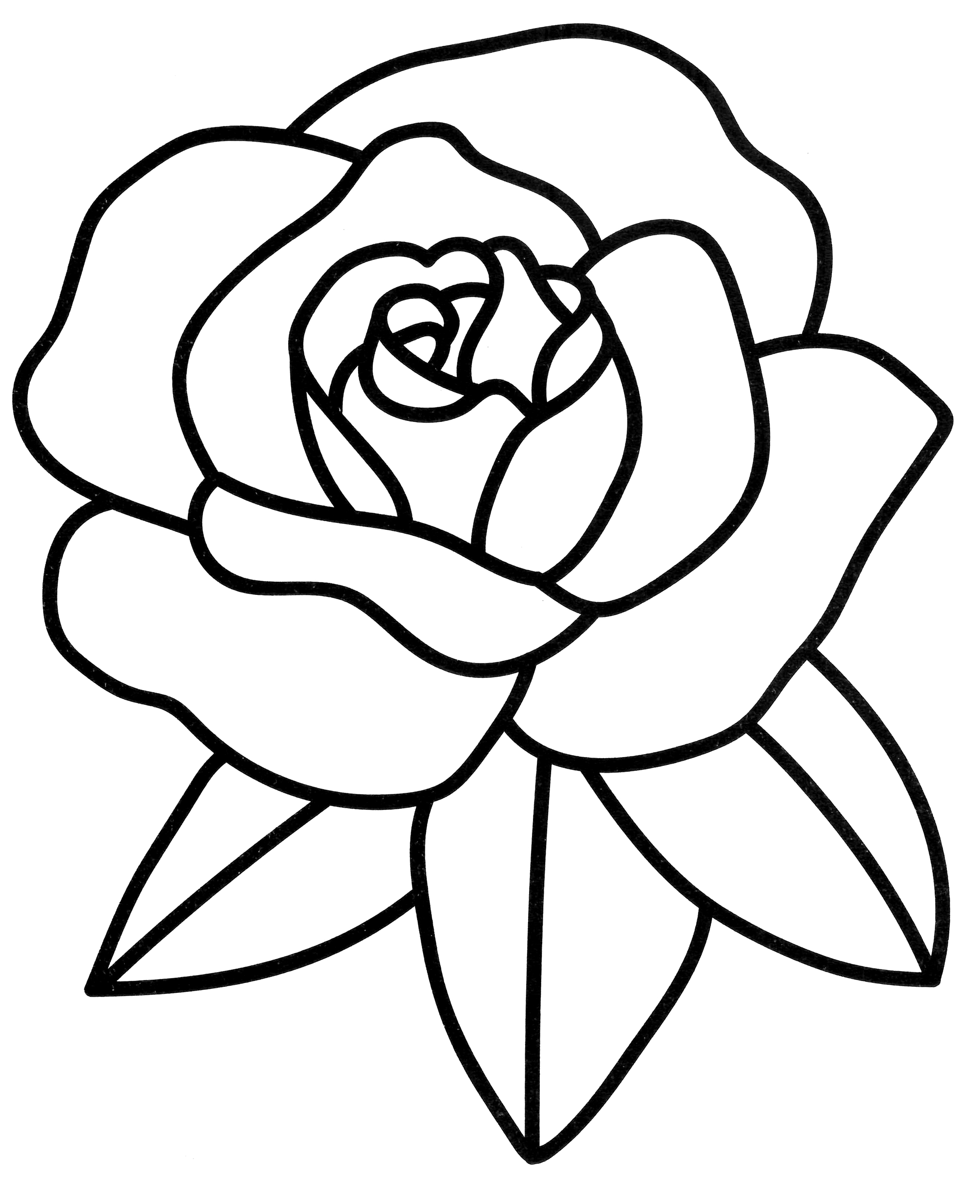 Раскраска Цветок розы