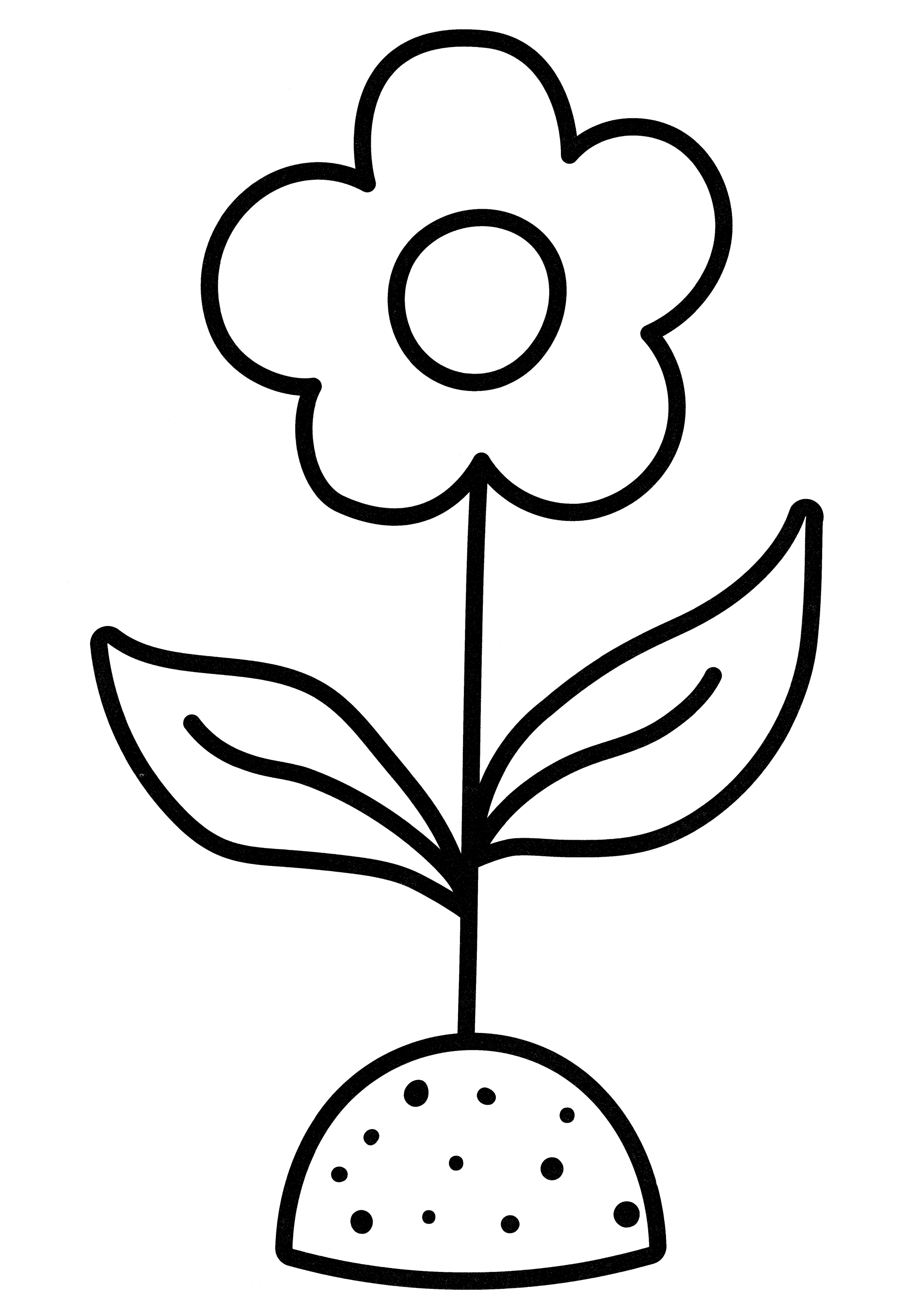 Раскраска Цветок в песке