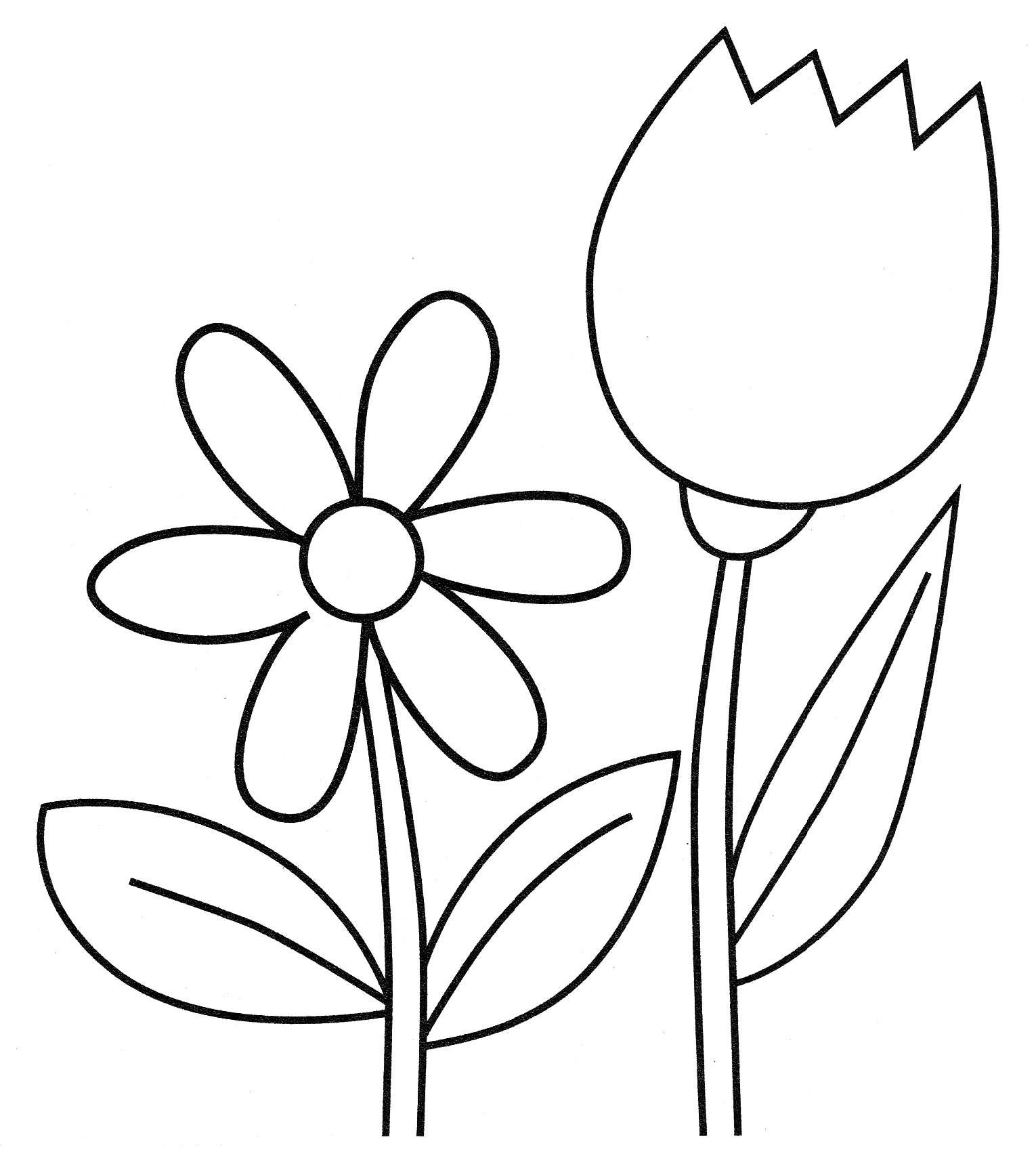 Раскраска Тюльпан и ромашка