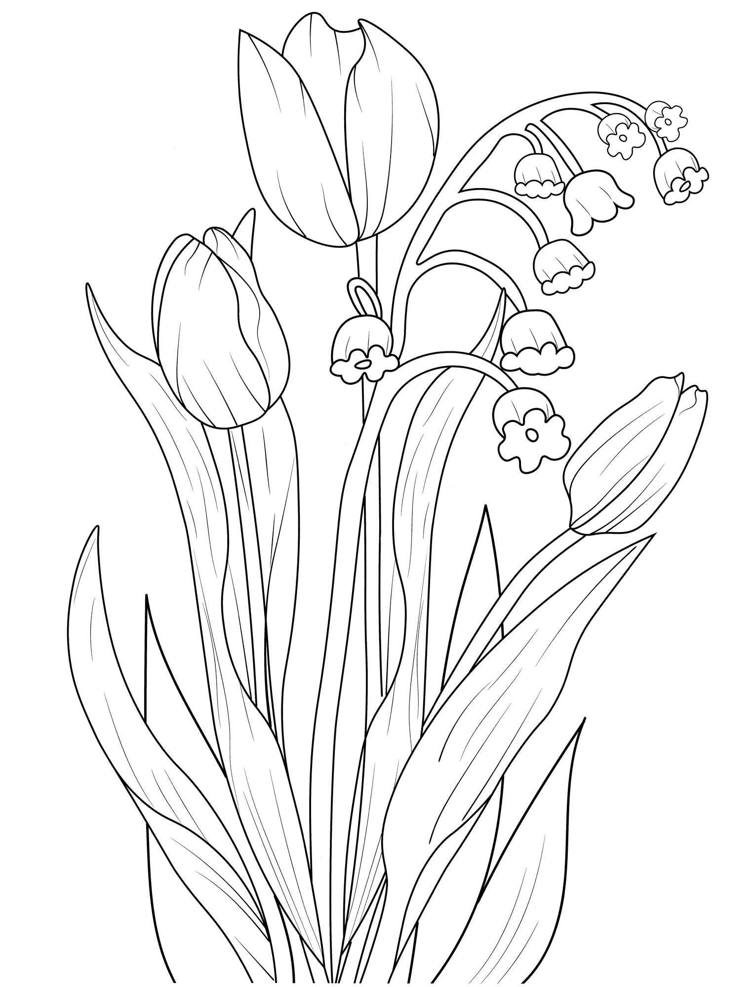 Раскраска Тюльпаны и ландыши