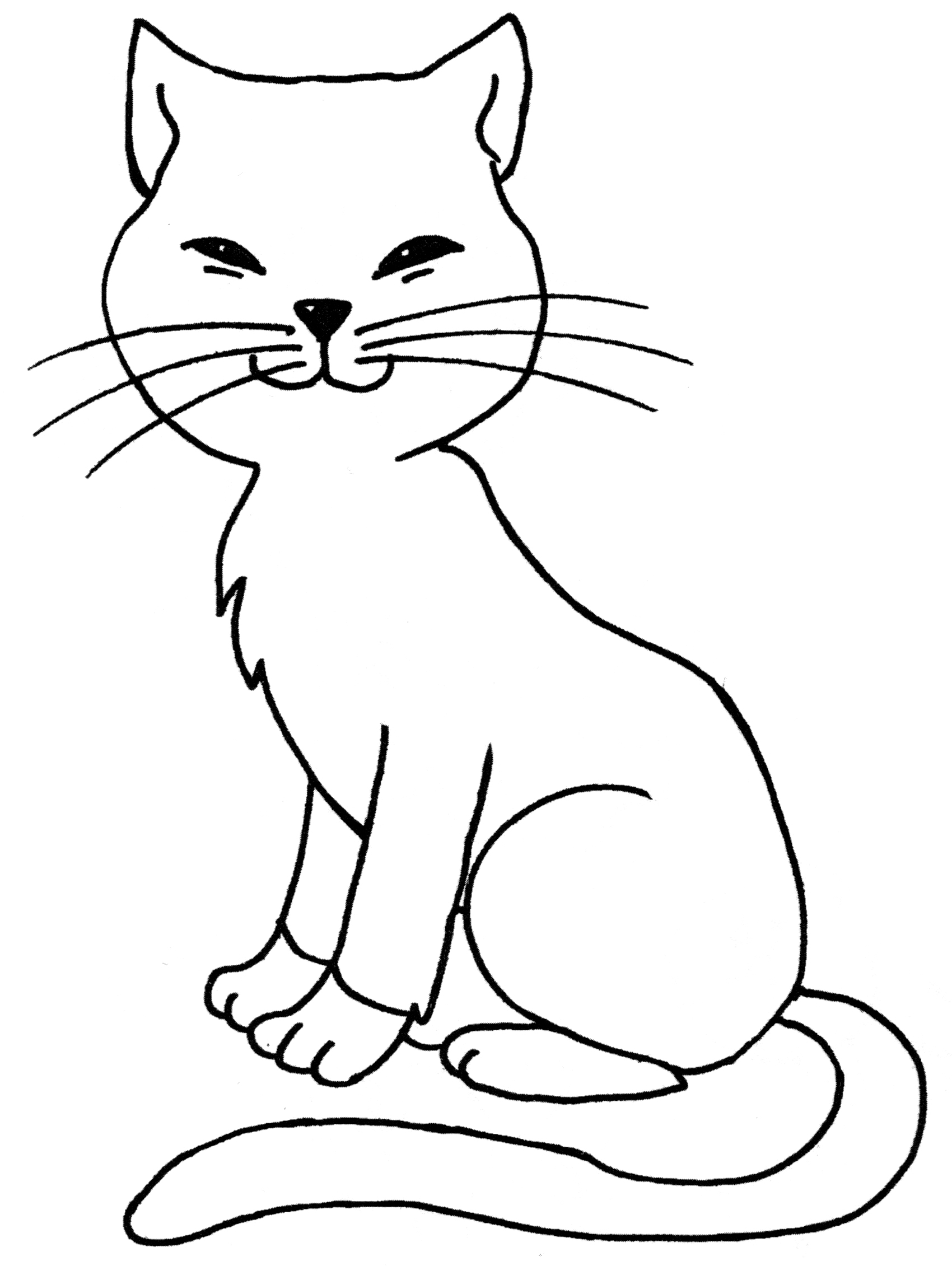 Раскраска Усатая кошка