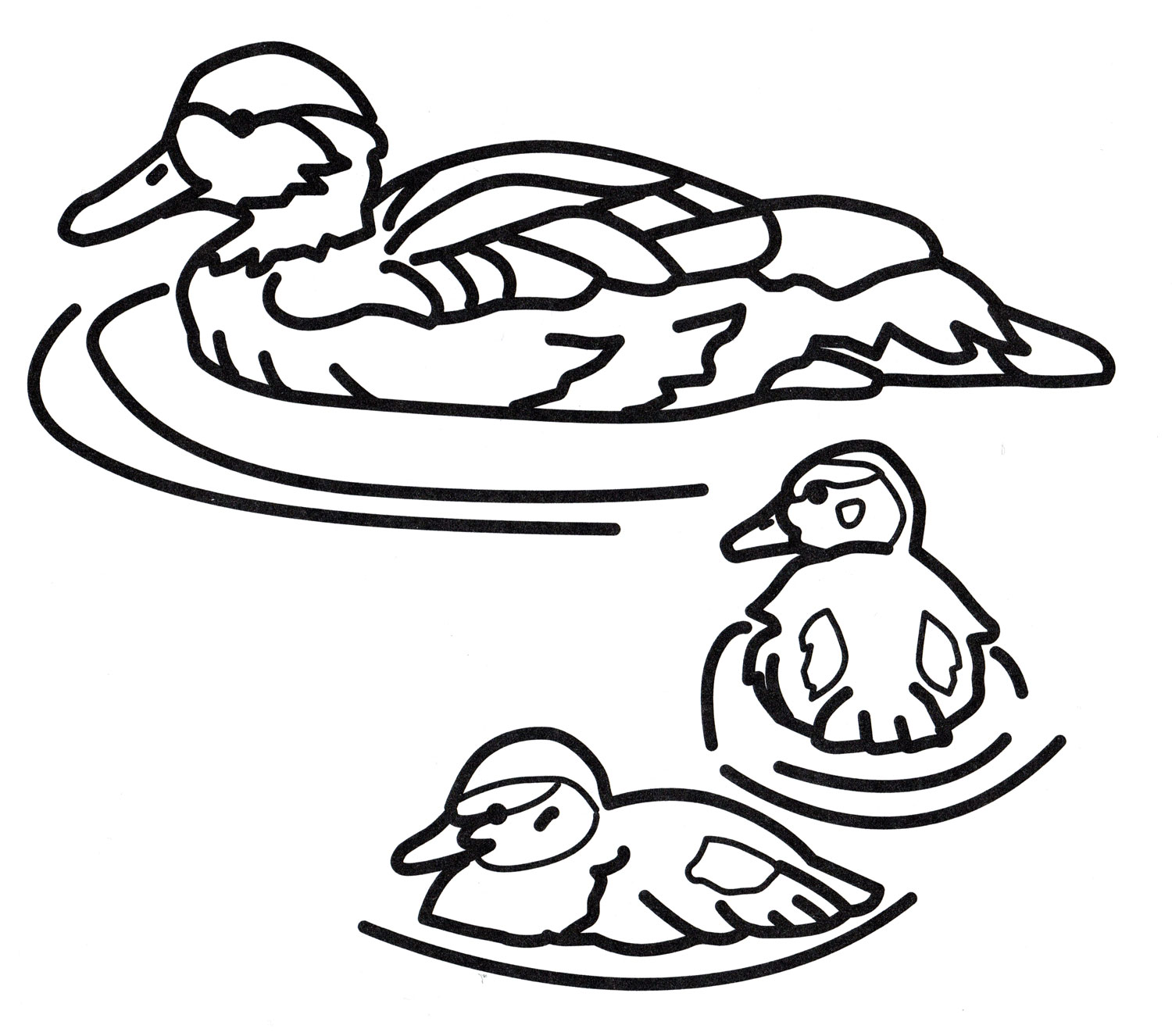 Раскраска Утки плавают