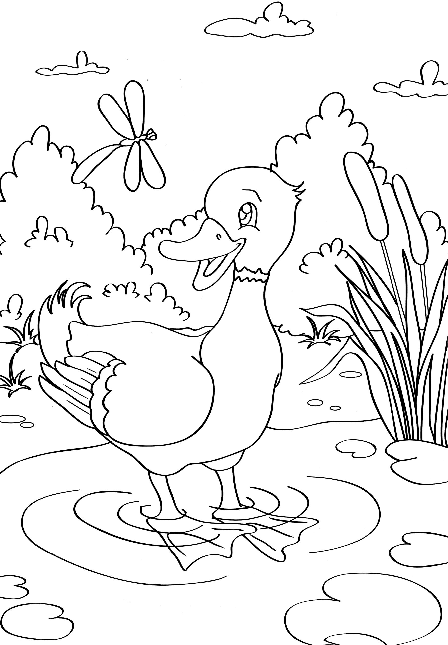 Раскраска Уточка в пруду