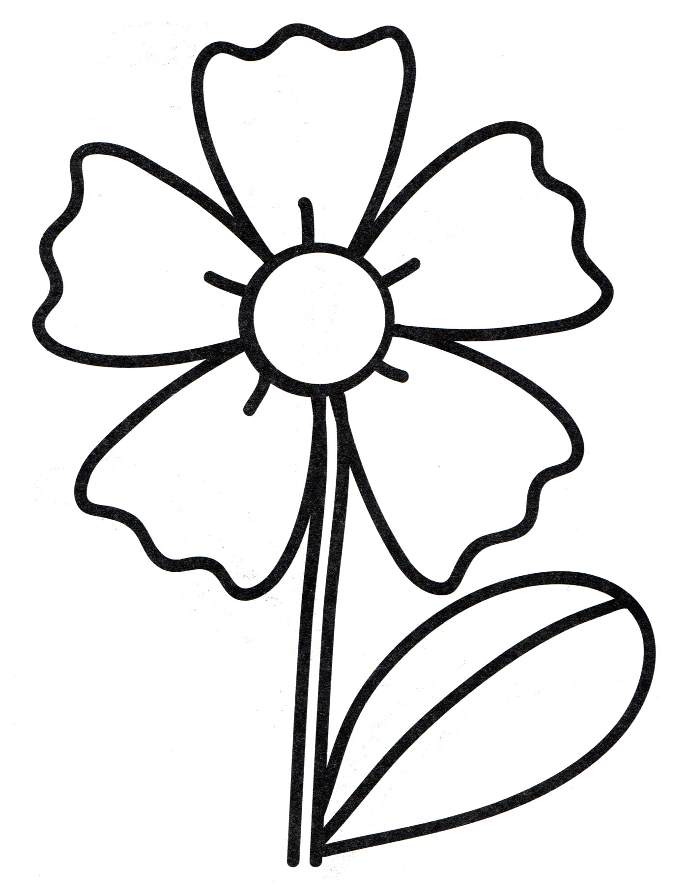 Раскраска Волшебная ромашка