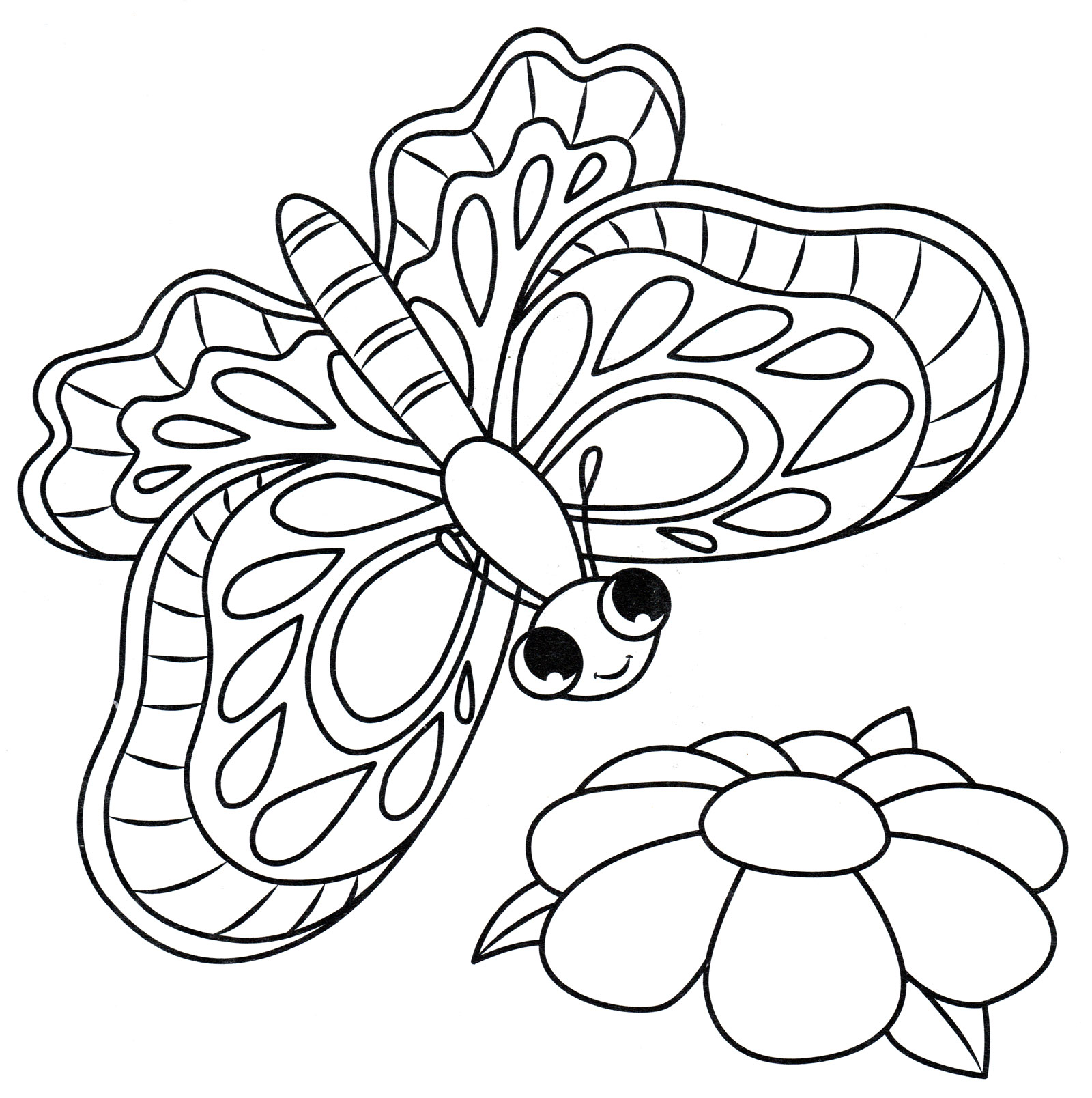 Раскраска Яркая бабочка