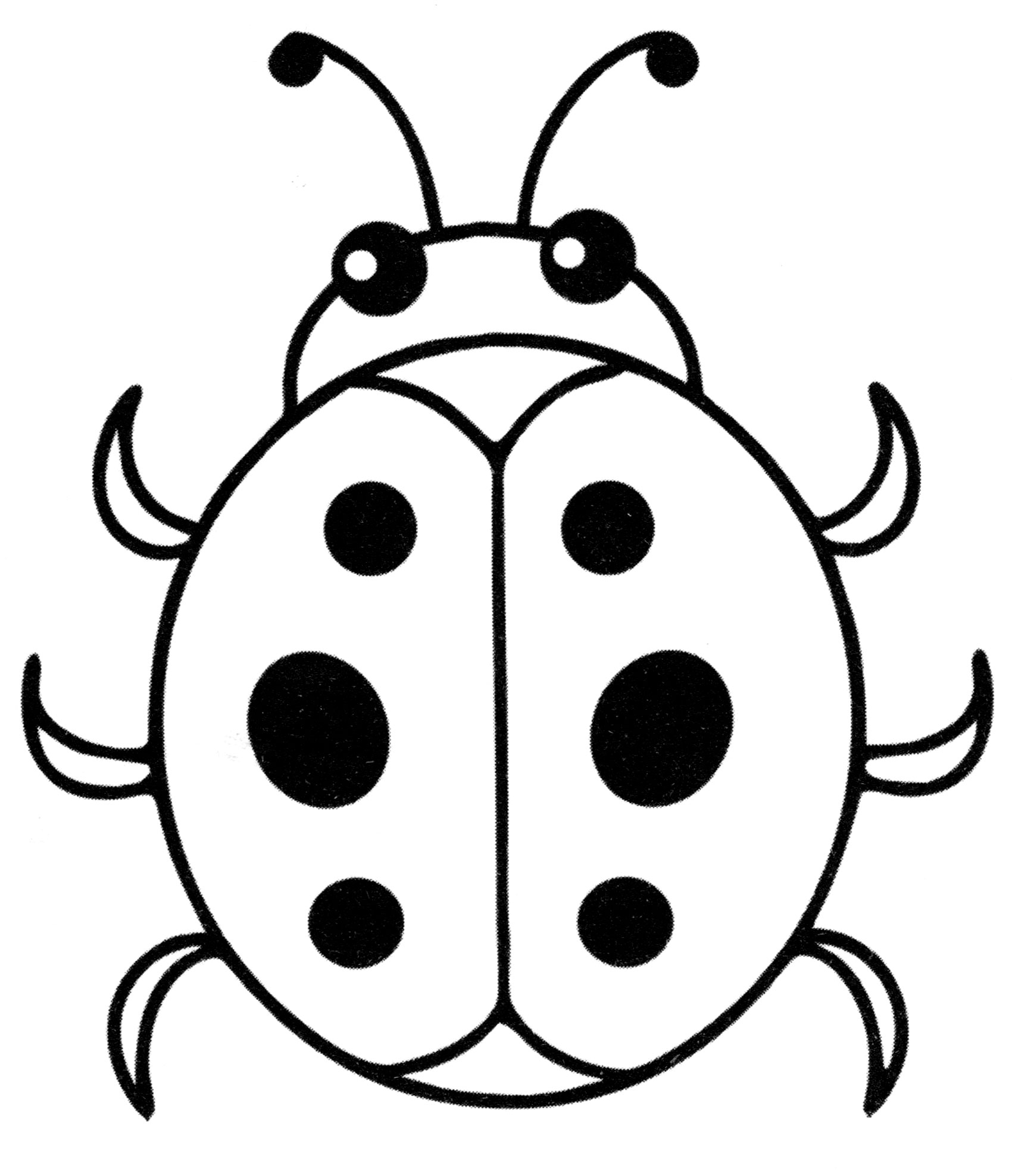 Раскраска Яркая божья коровка