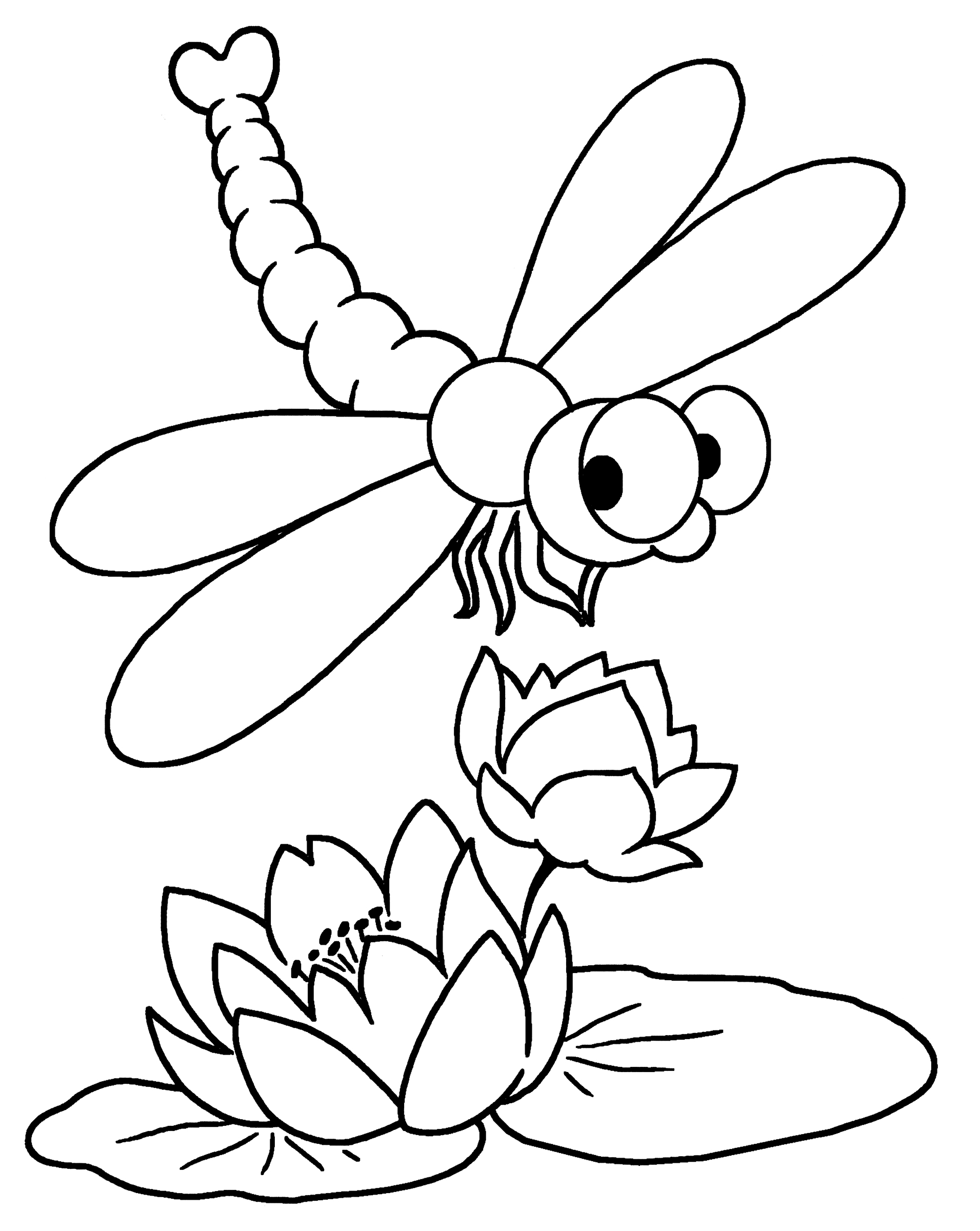 Раскраска Застенчивая стрекоза