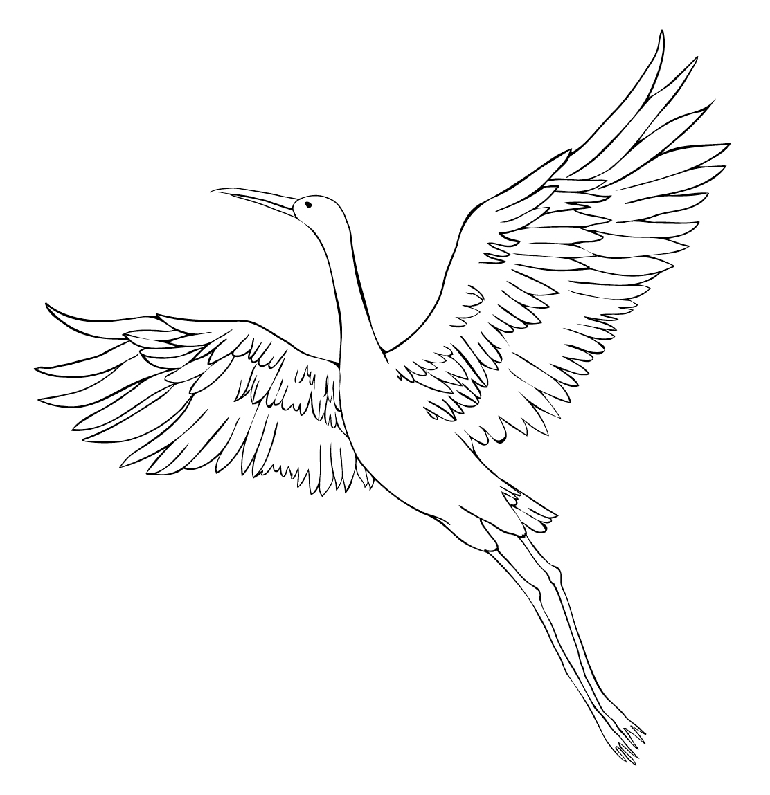 Раскраска Журавль в полете