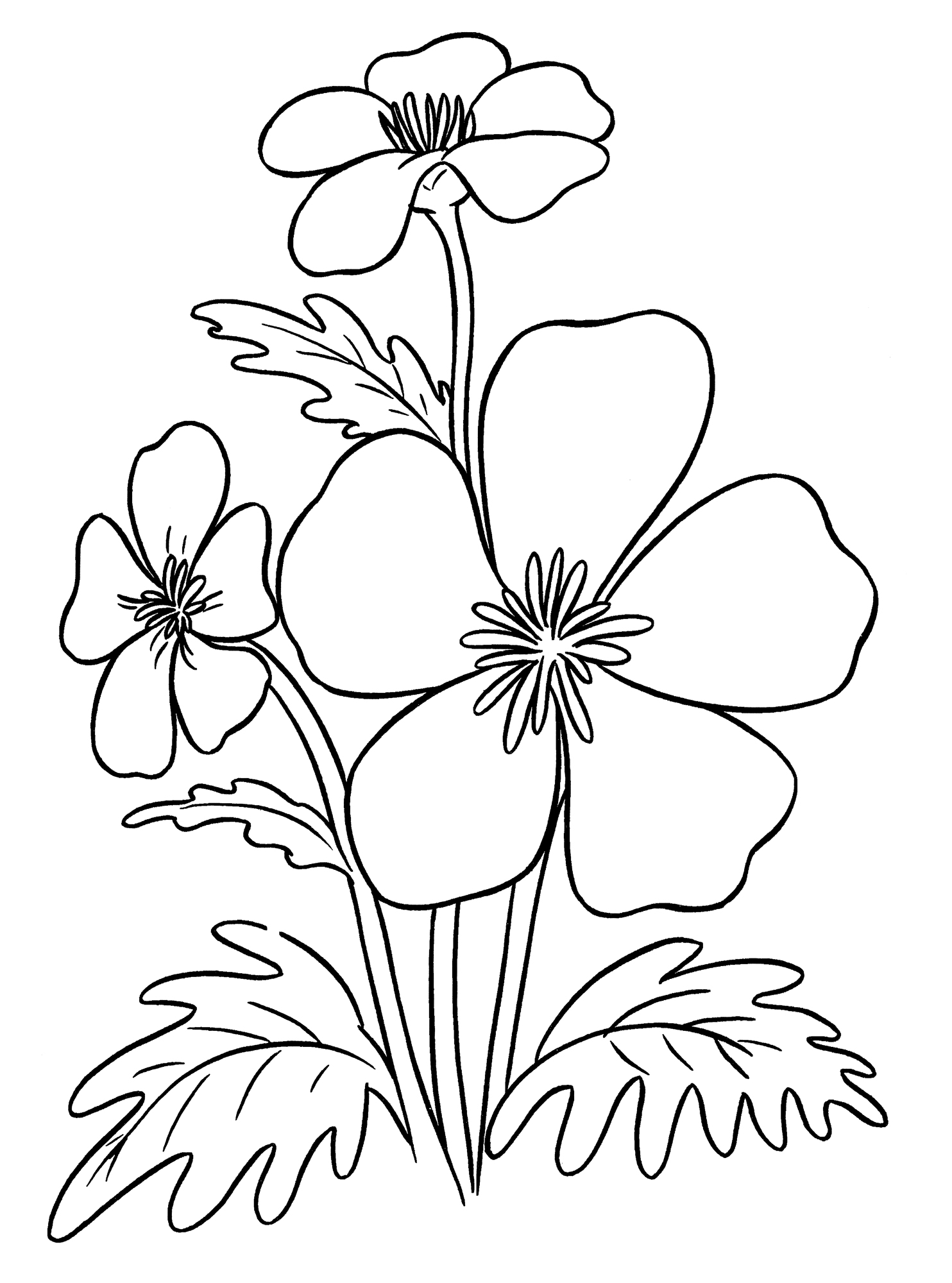 Раскраска Жёлтенький лютик