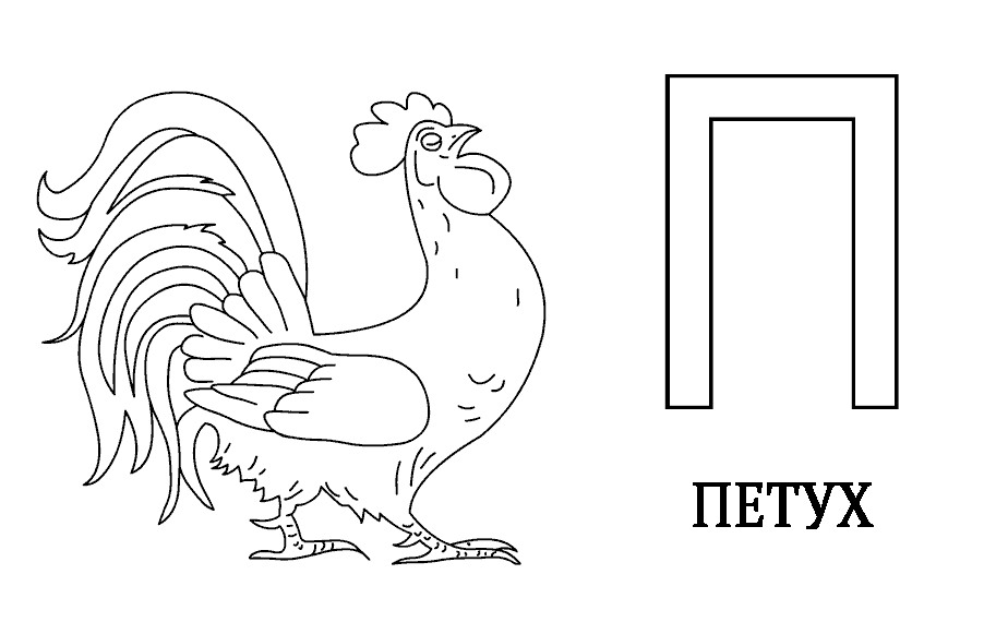 рисунок петух