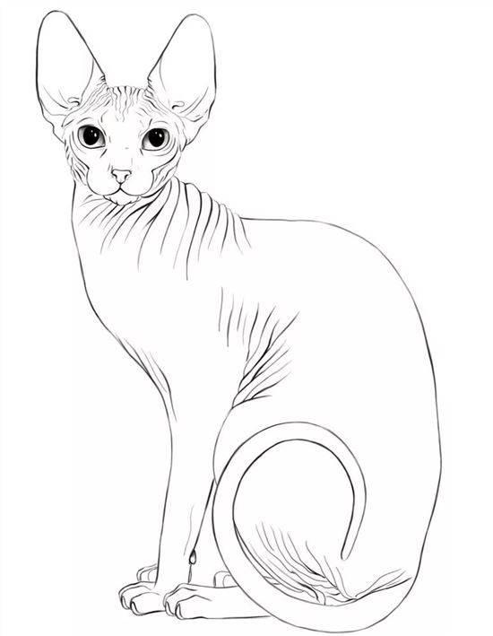 рисунок сфинкс