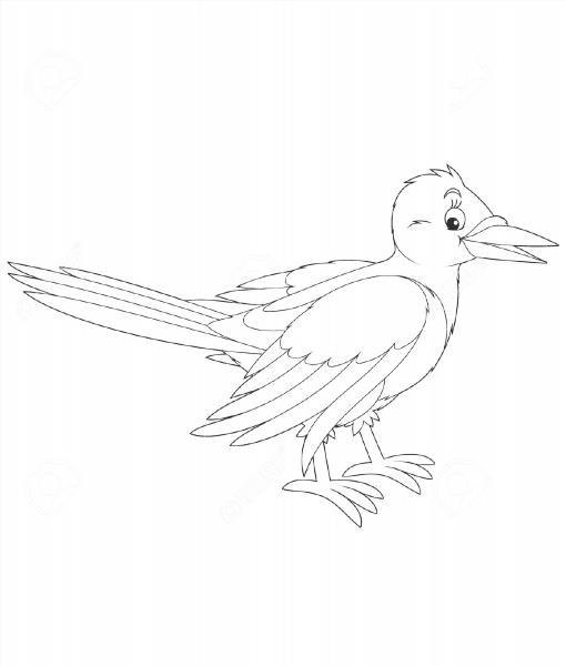 Рисунок Сорока