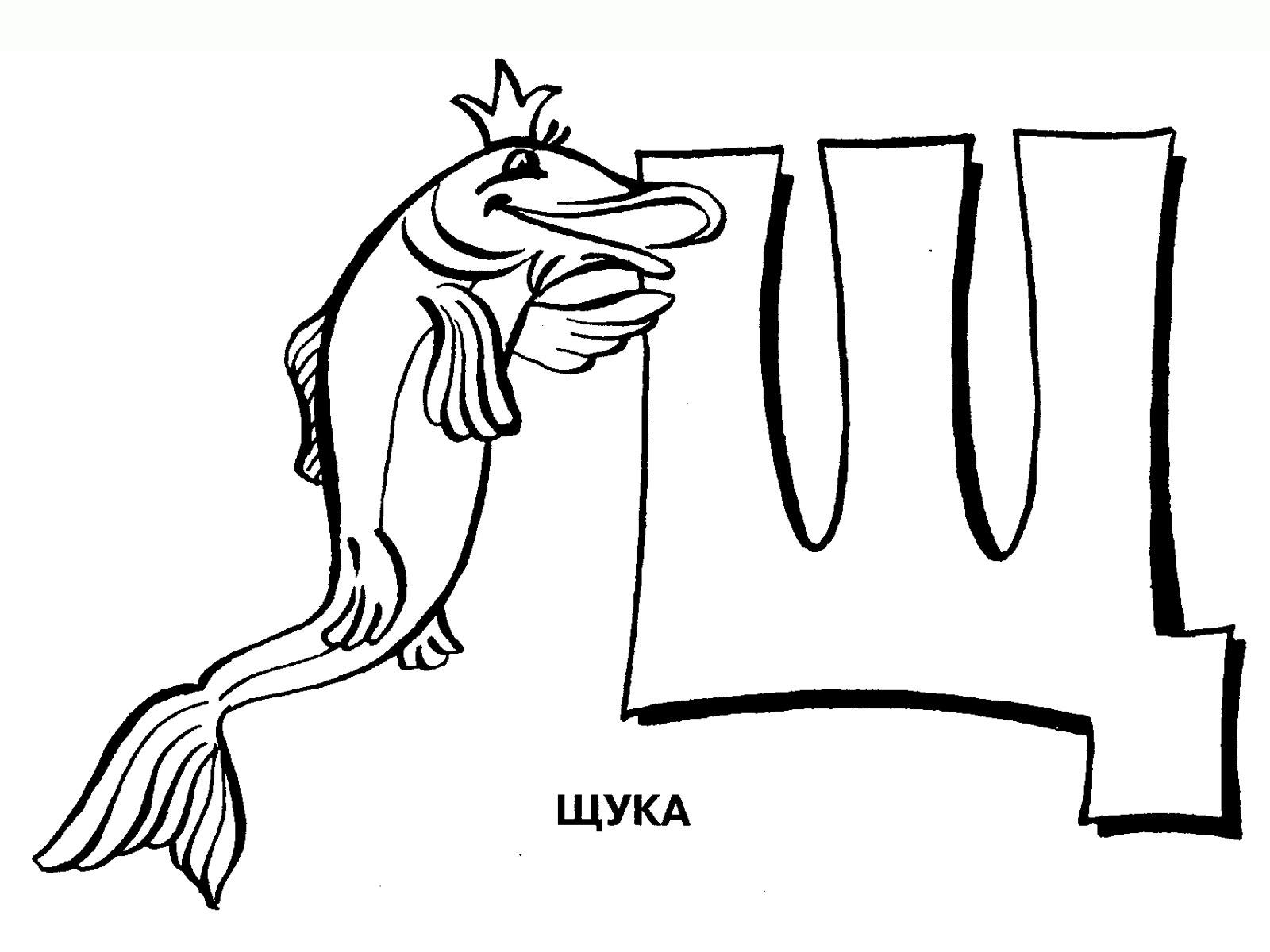 Щука