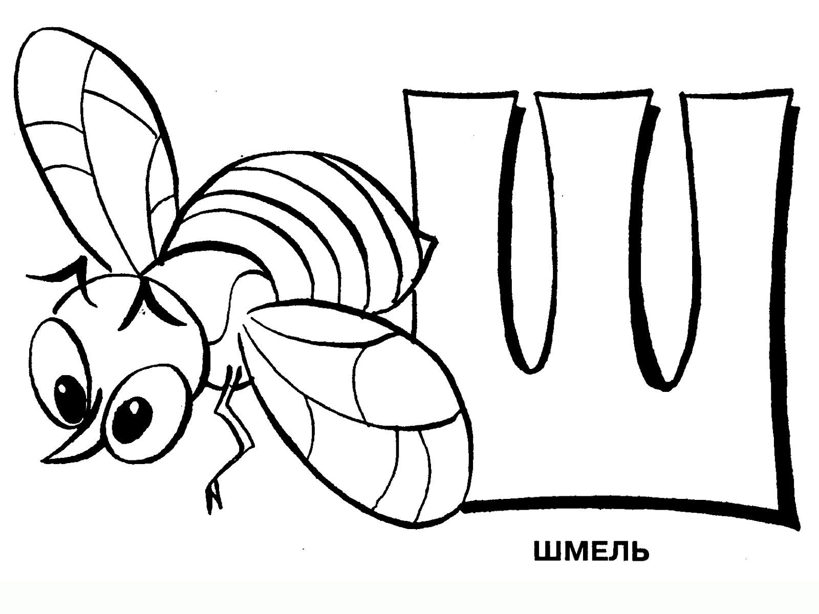 Шмель