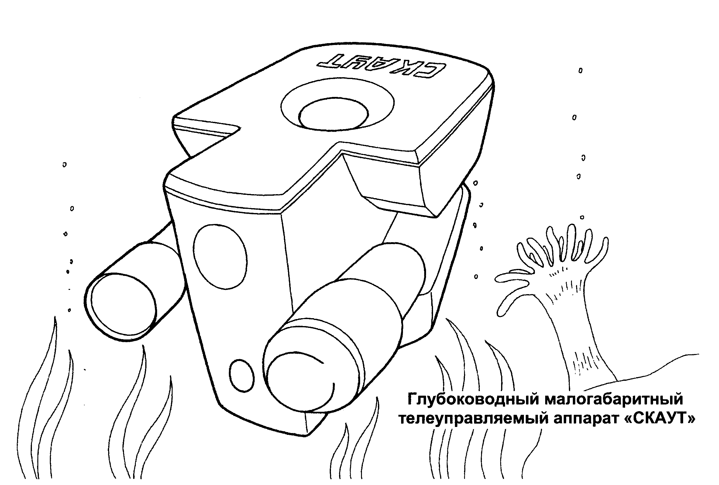 Скаут