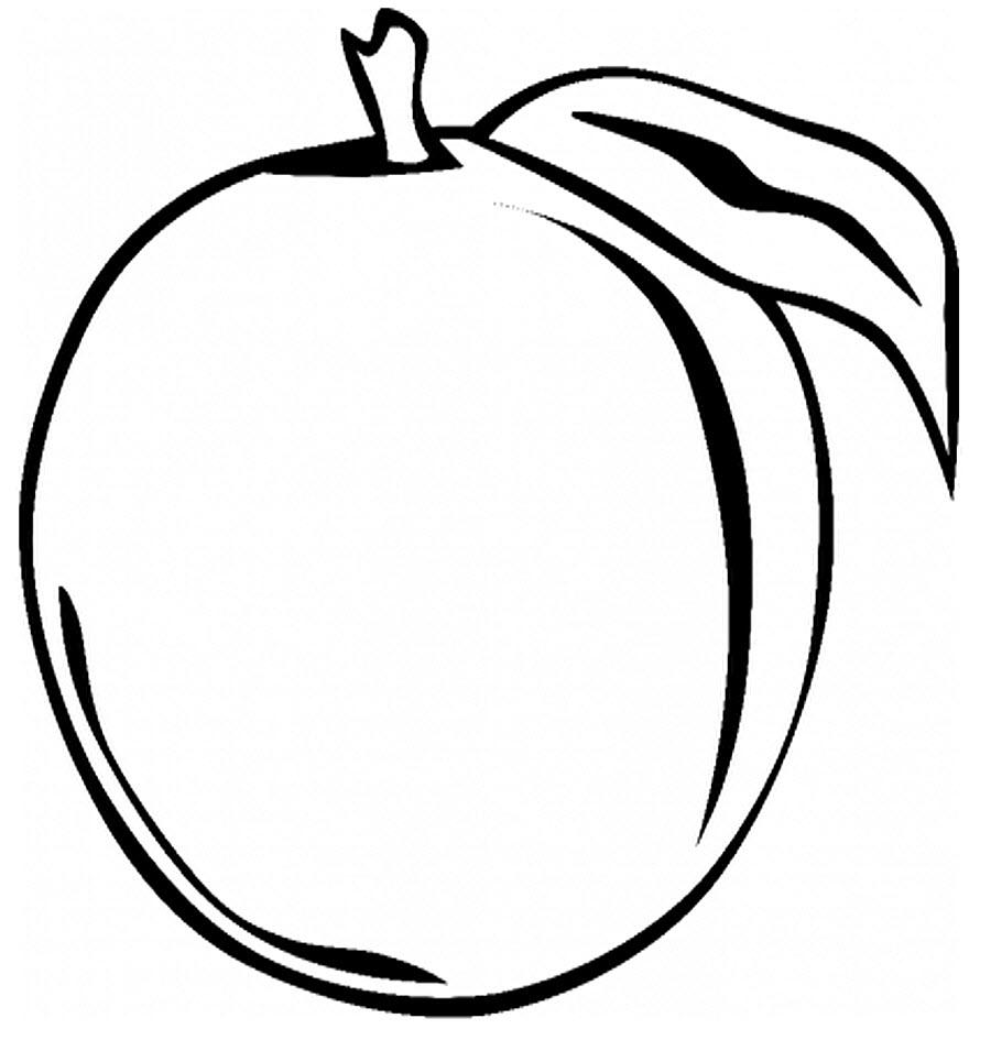 Слива