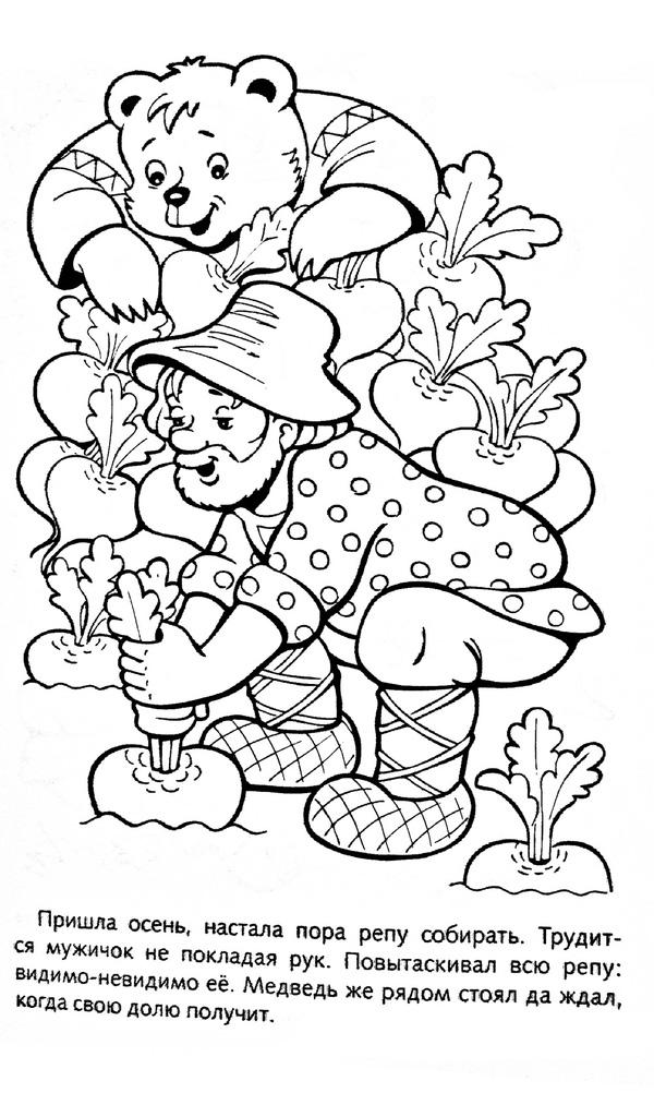 Собирают урожай