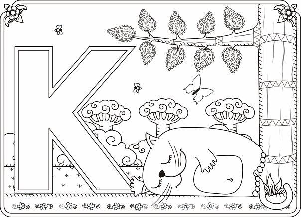 Спящий кот