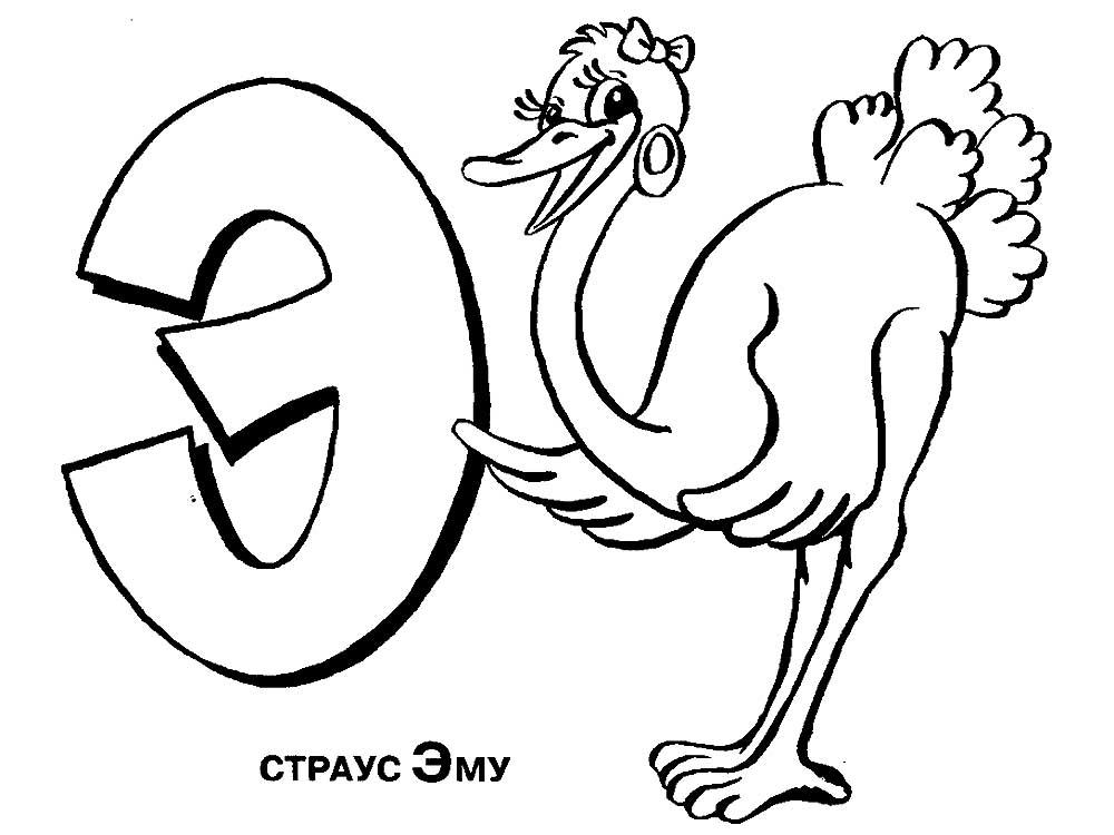 страус эму