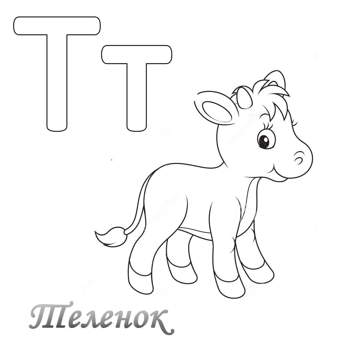 Теленок