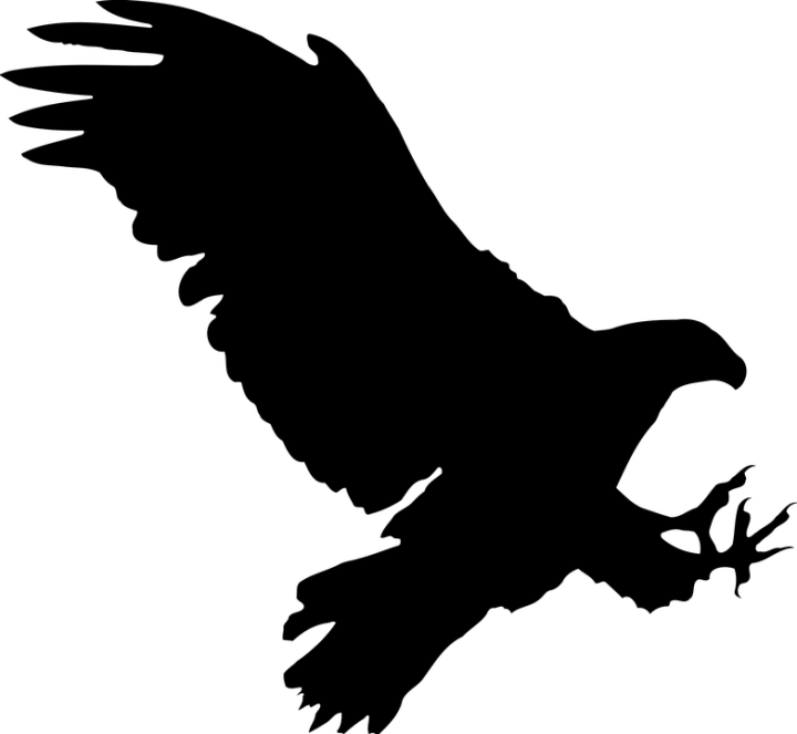 Трафарет Орла