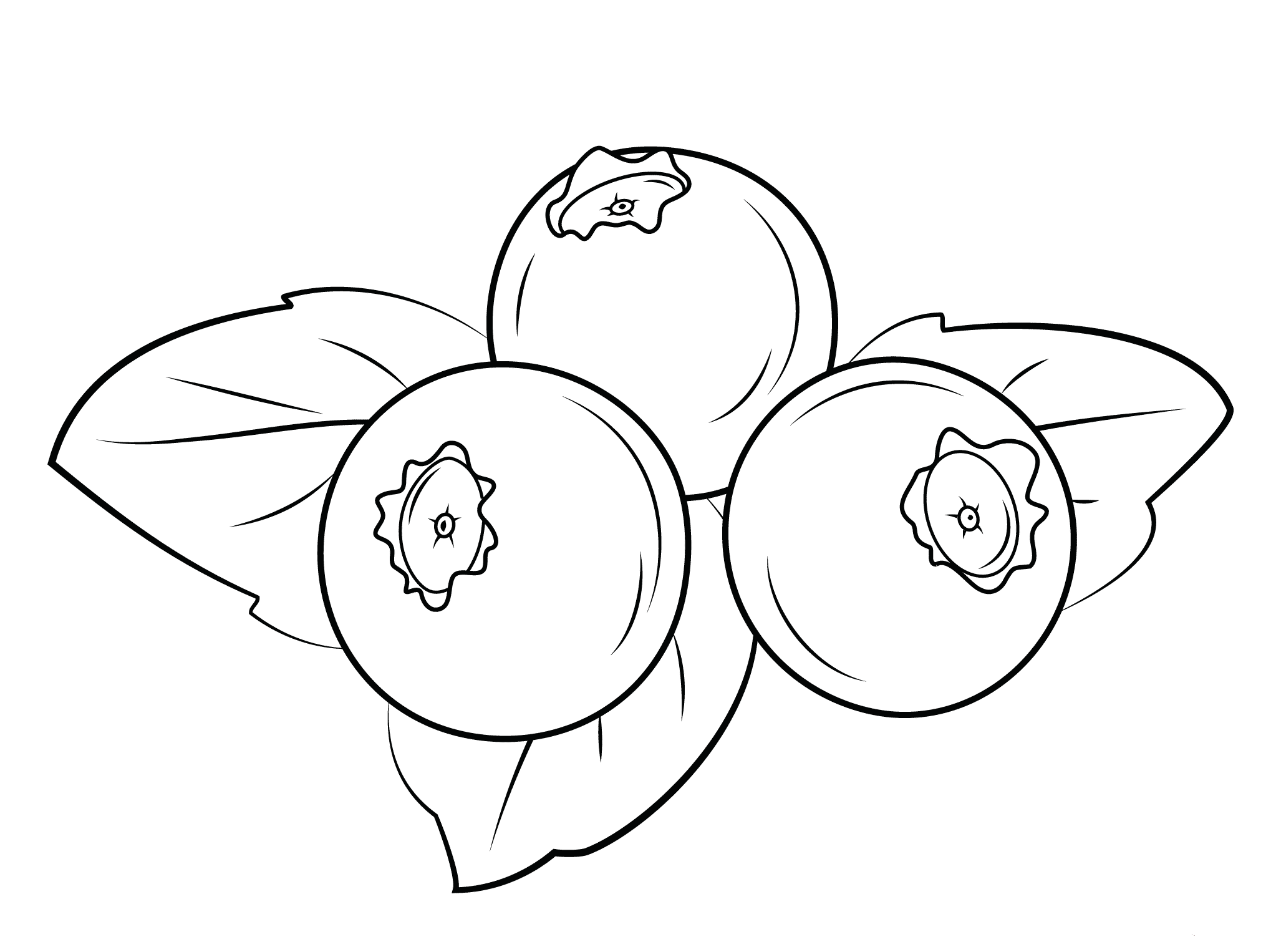 Три черники