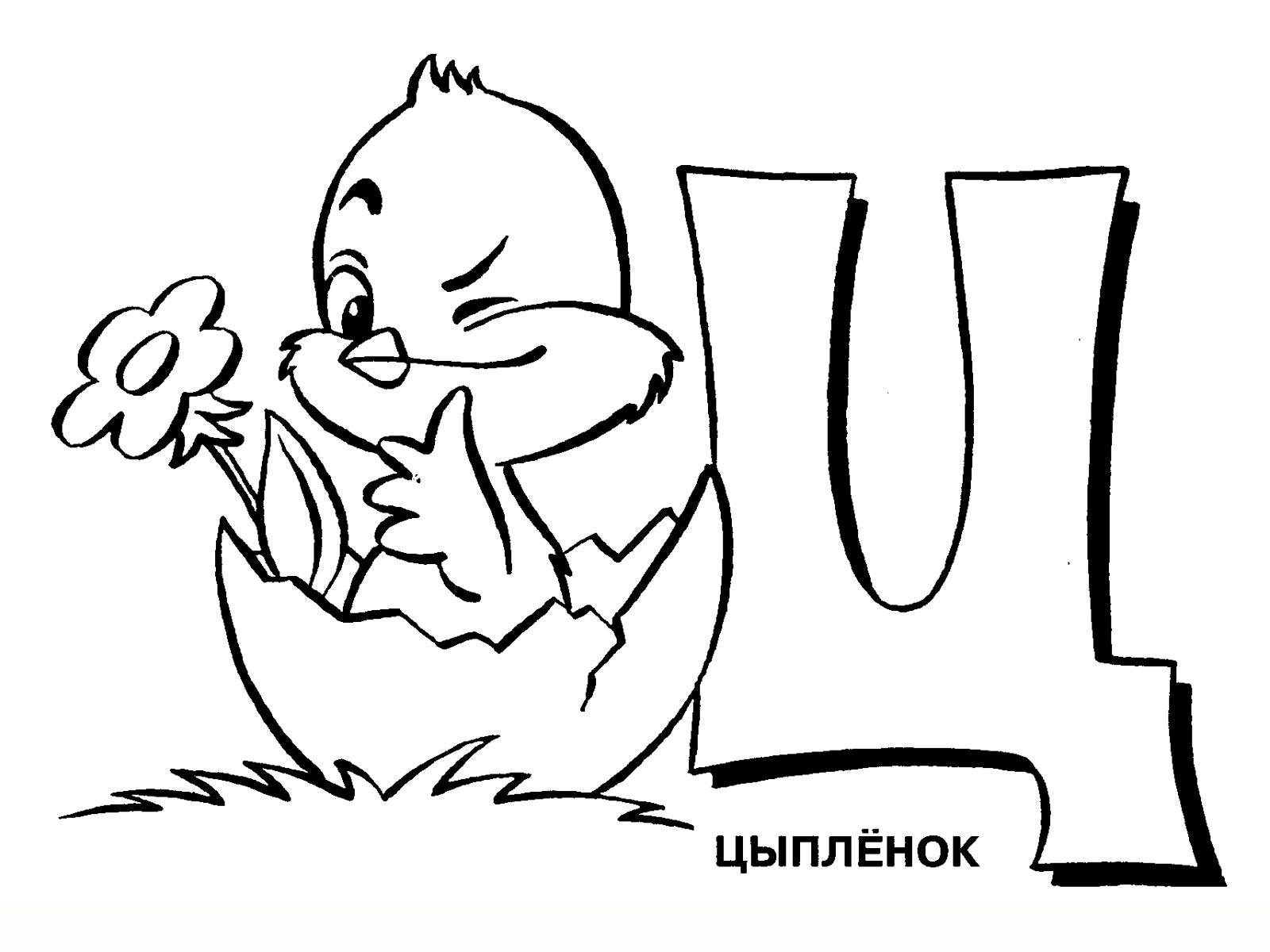 Цыпленок 2