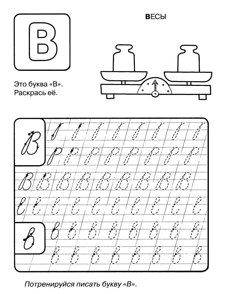 Весы