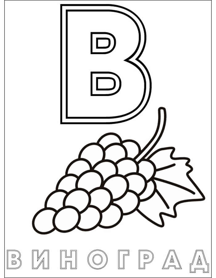 Виноградная лоза