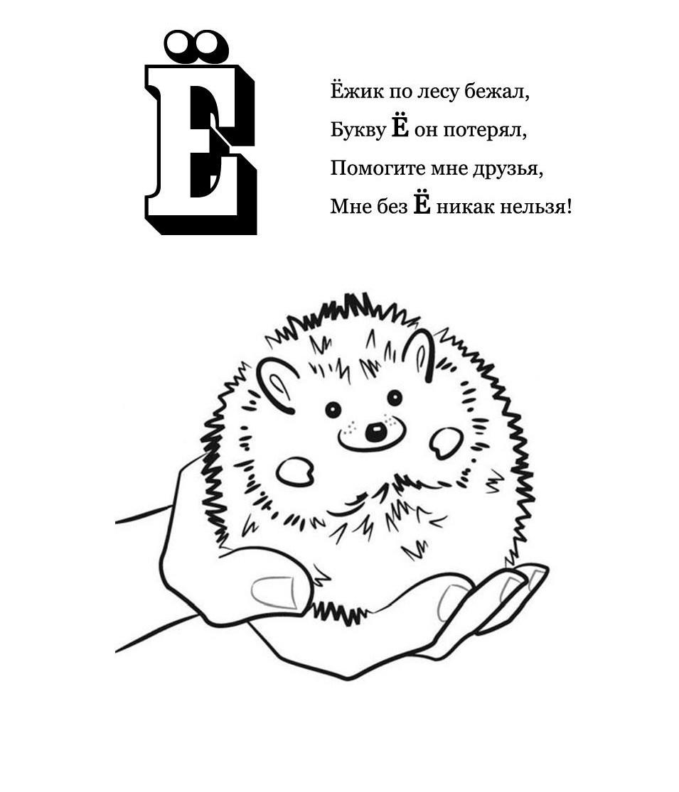 Ёжик в руке