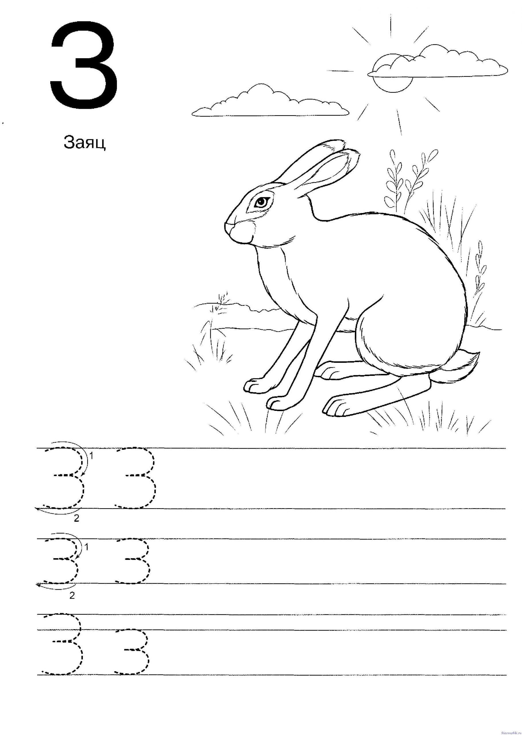 Заяц 2