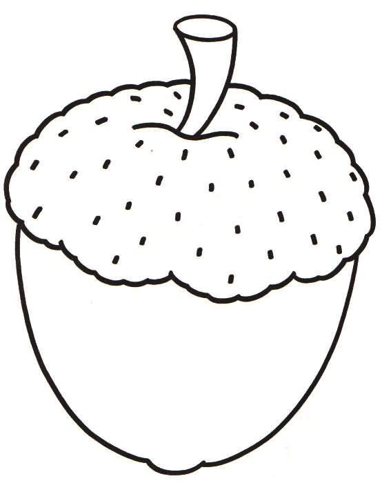 Желудь 2